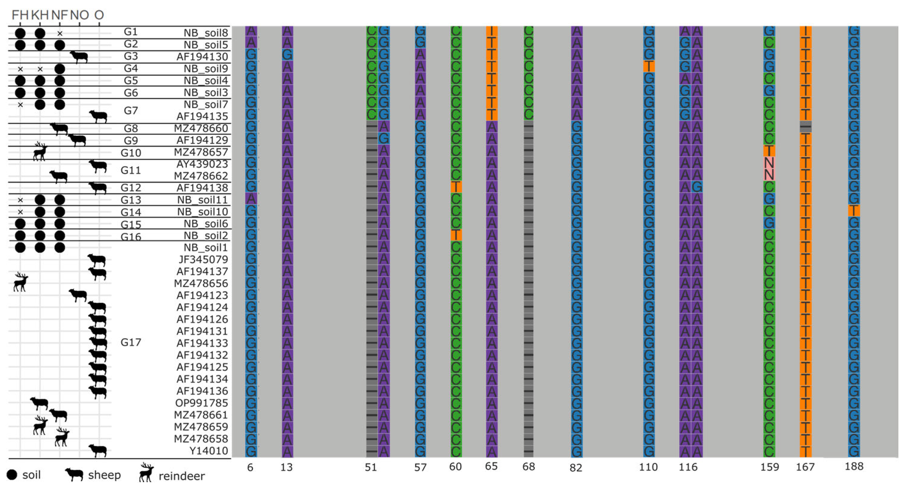 Pathogens 12 00186 g004 Pathogens 12 00186 g004