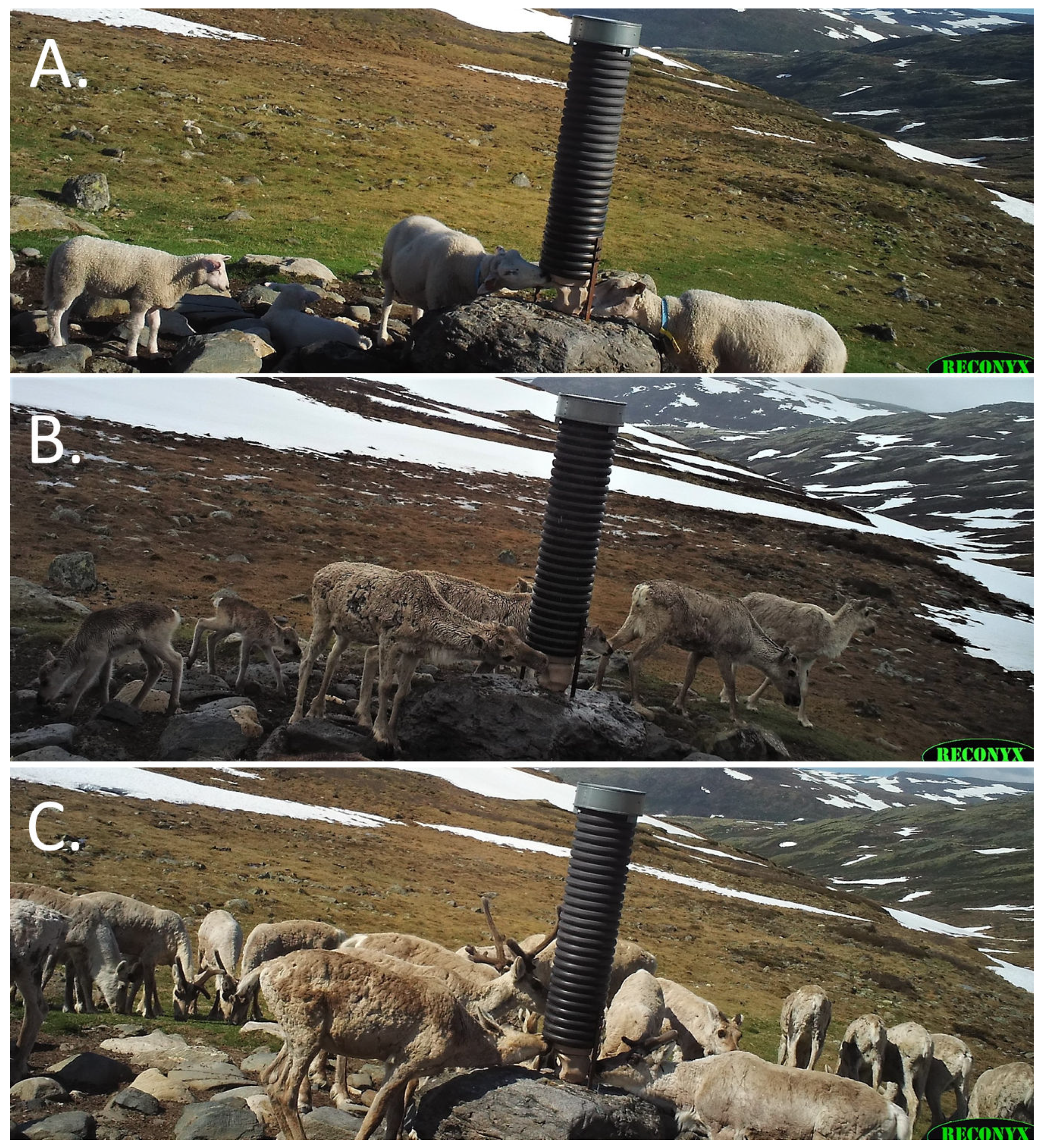 Pathogens 12 00186 g006 Pathogens 12 00186 g006