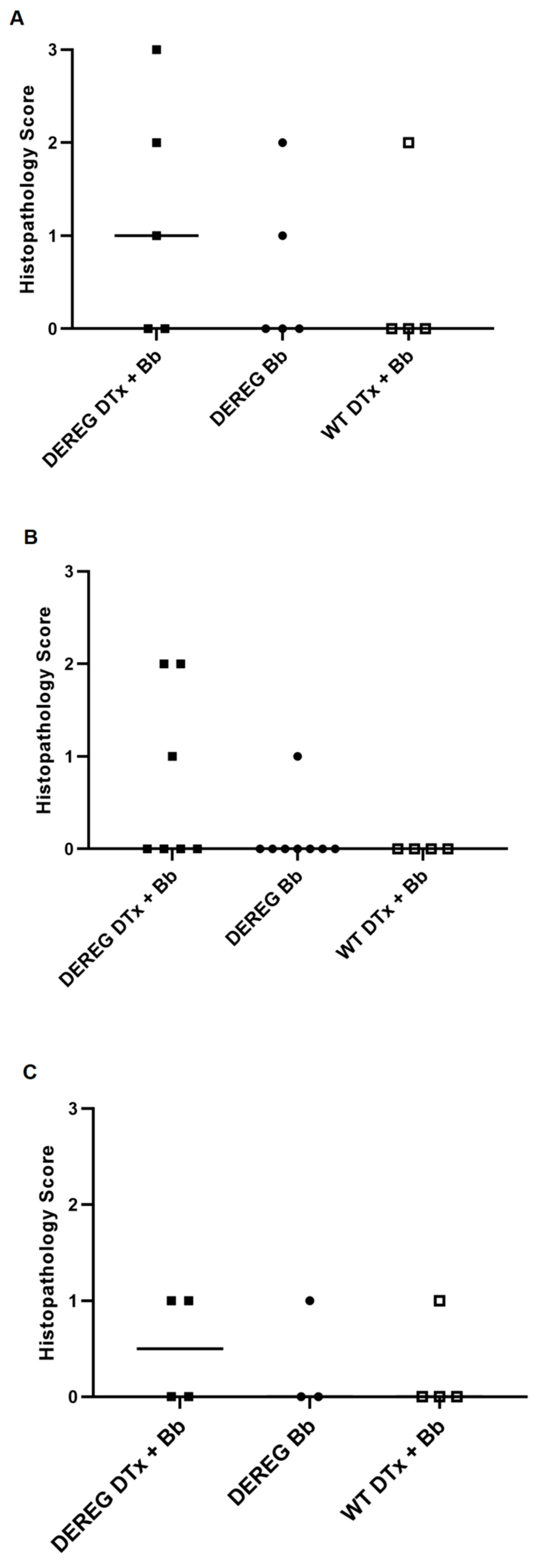 Pathogens 12 00189 g004