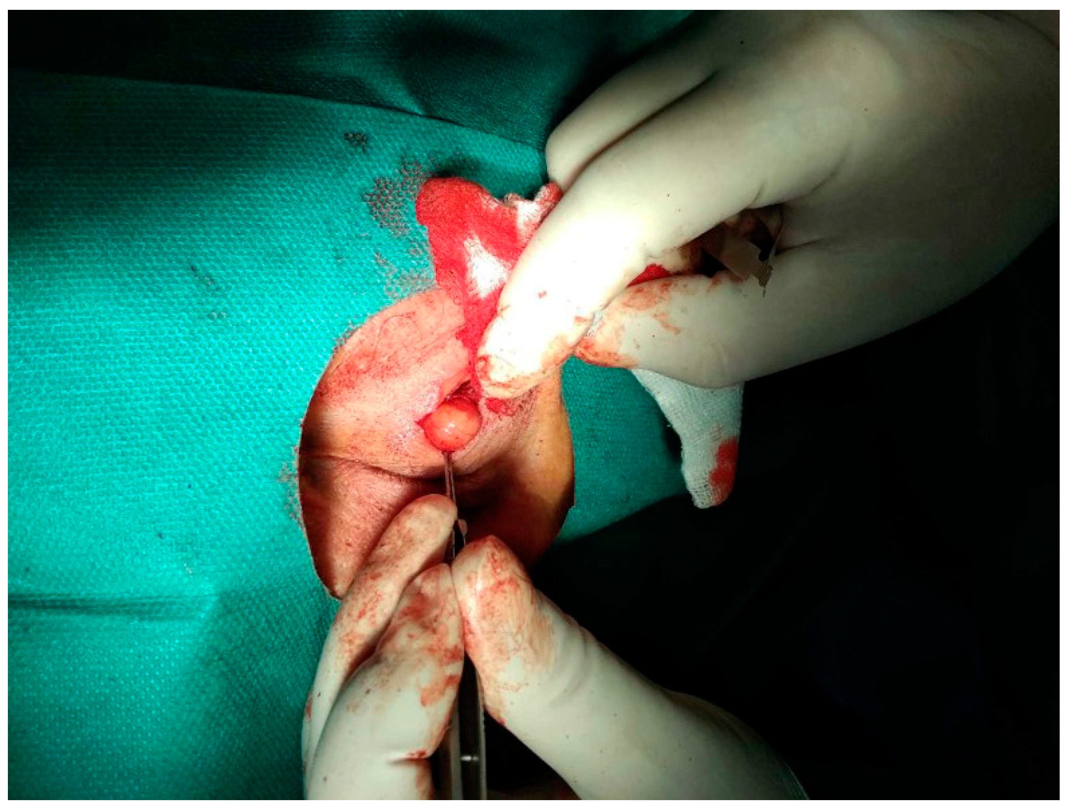 Pathogens 12 00196 g001 Pathogens 12 00196 g001