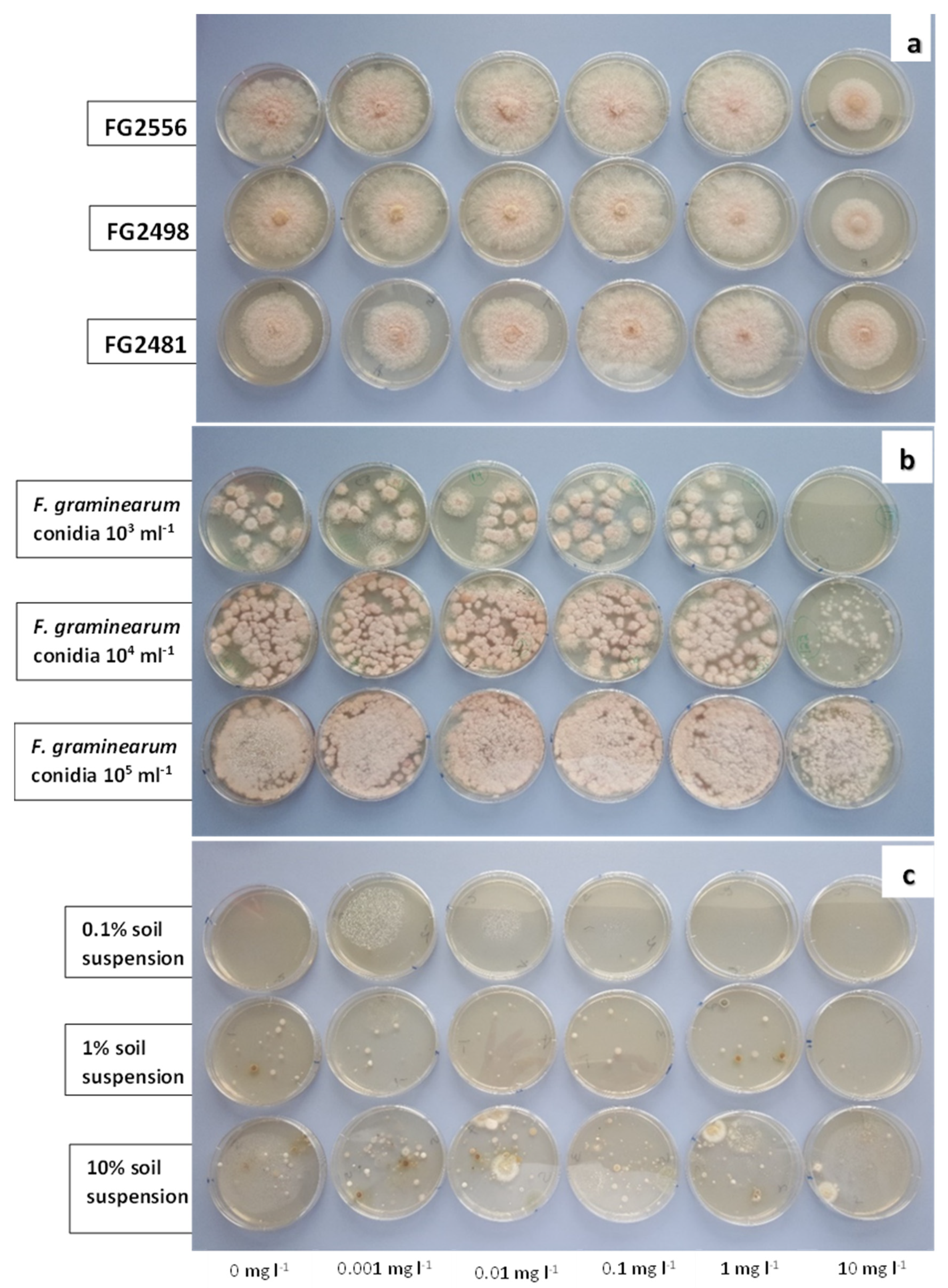 Pathogens 12 00197 g002 Pathogens 12 00197 g002