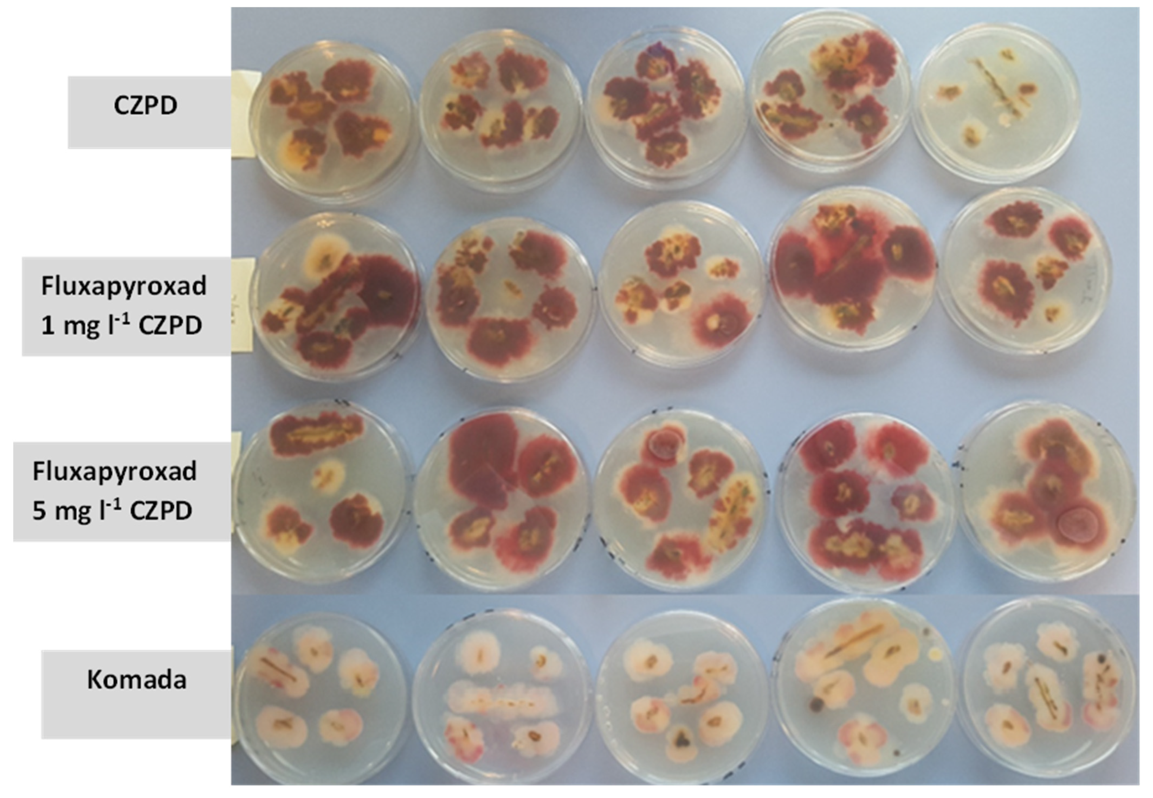 Pathogens 12 00197 g003 Pathogens 12 00197 g003