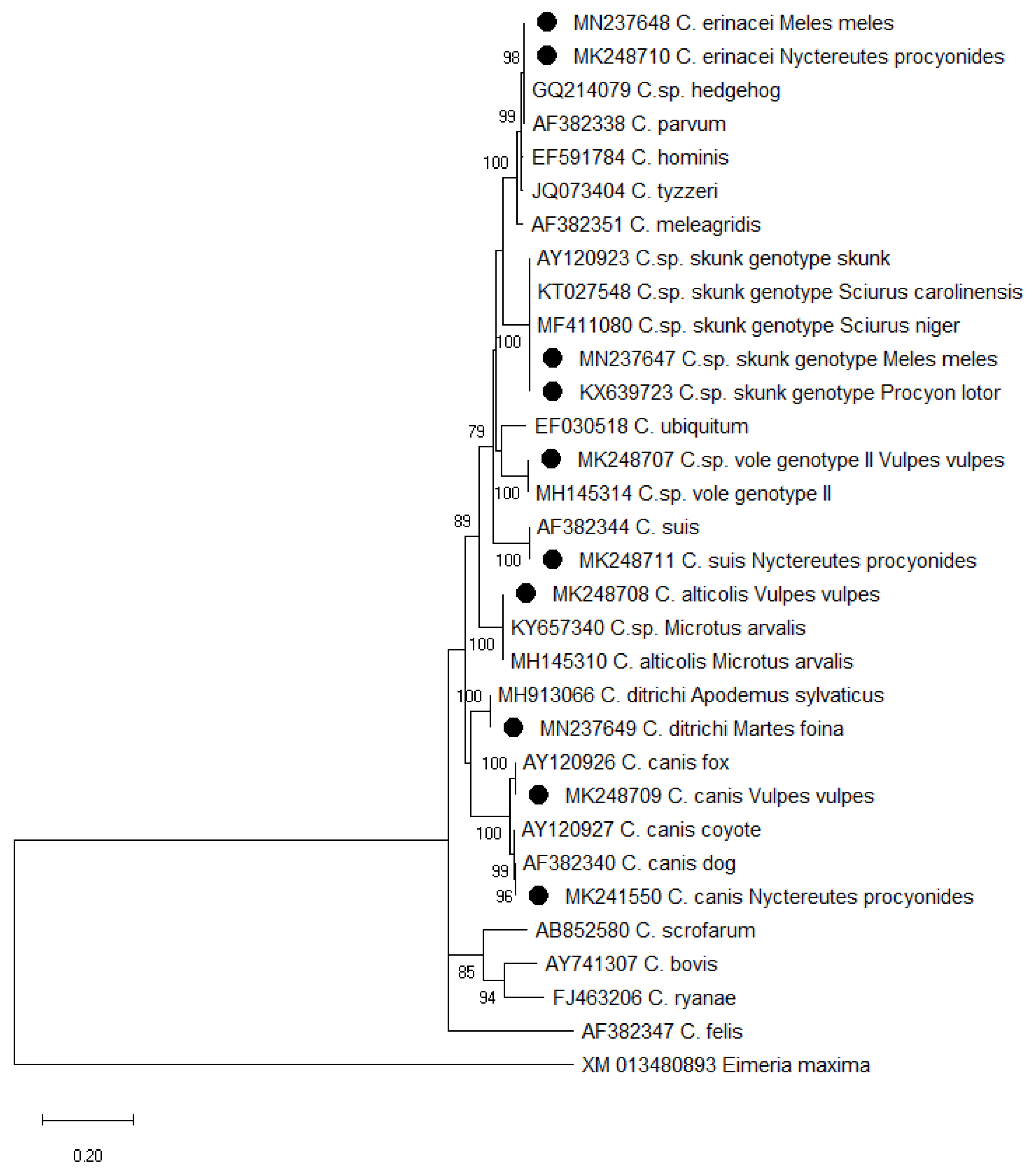 Pathogens 12 00198 g002
