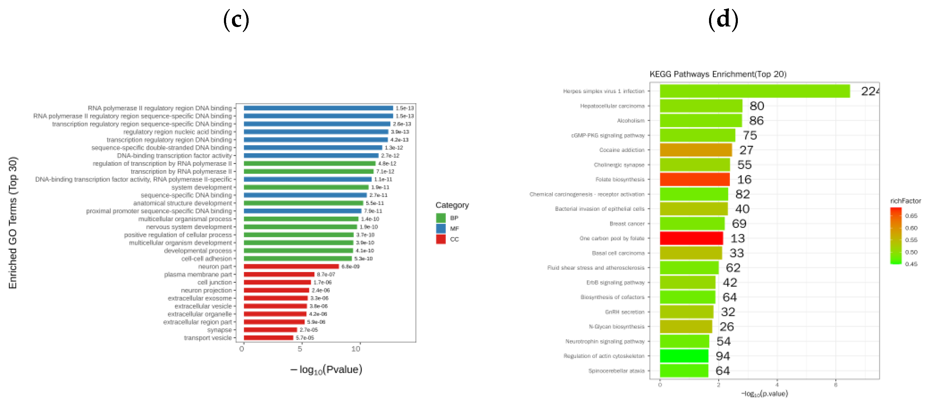 Pathogens 12 00201 g003b Pathogens 12 00201 g003b