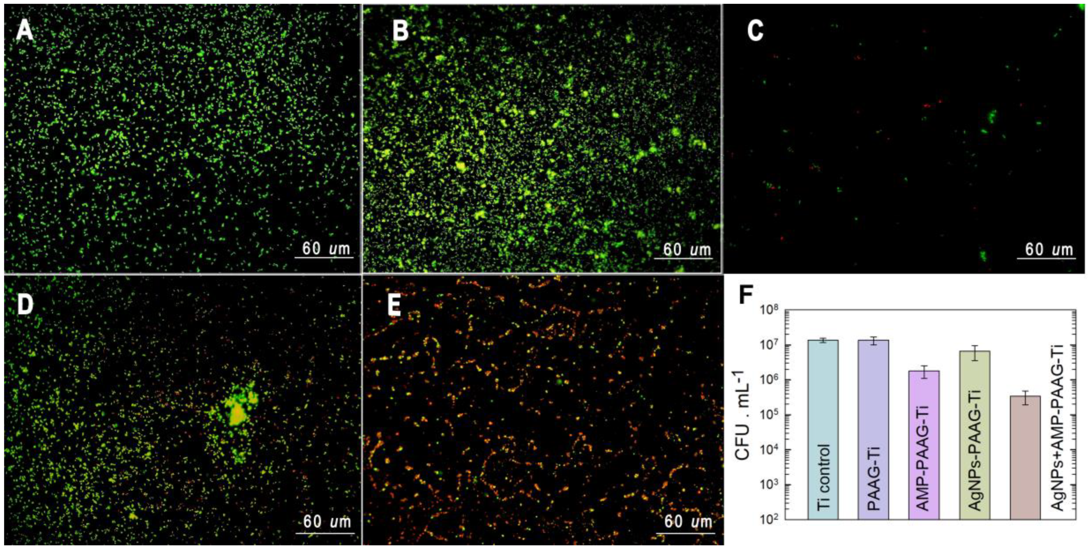 Pathogens 12 00202 g008 Pathogens 12 00202 g008