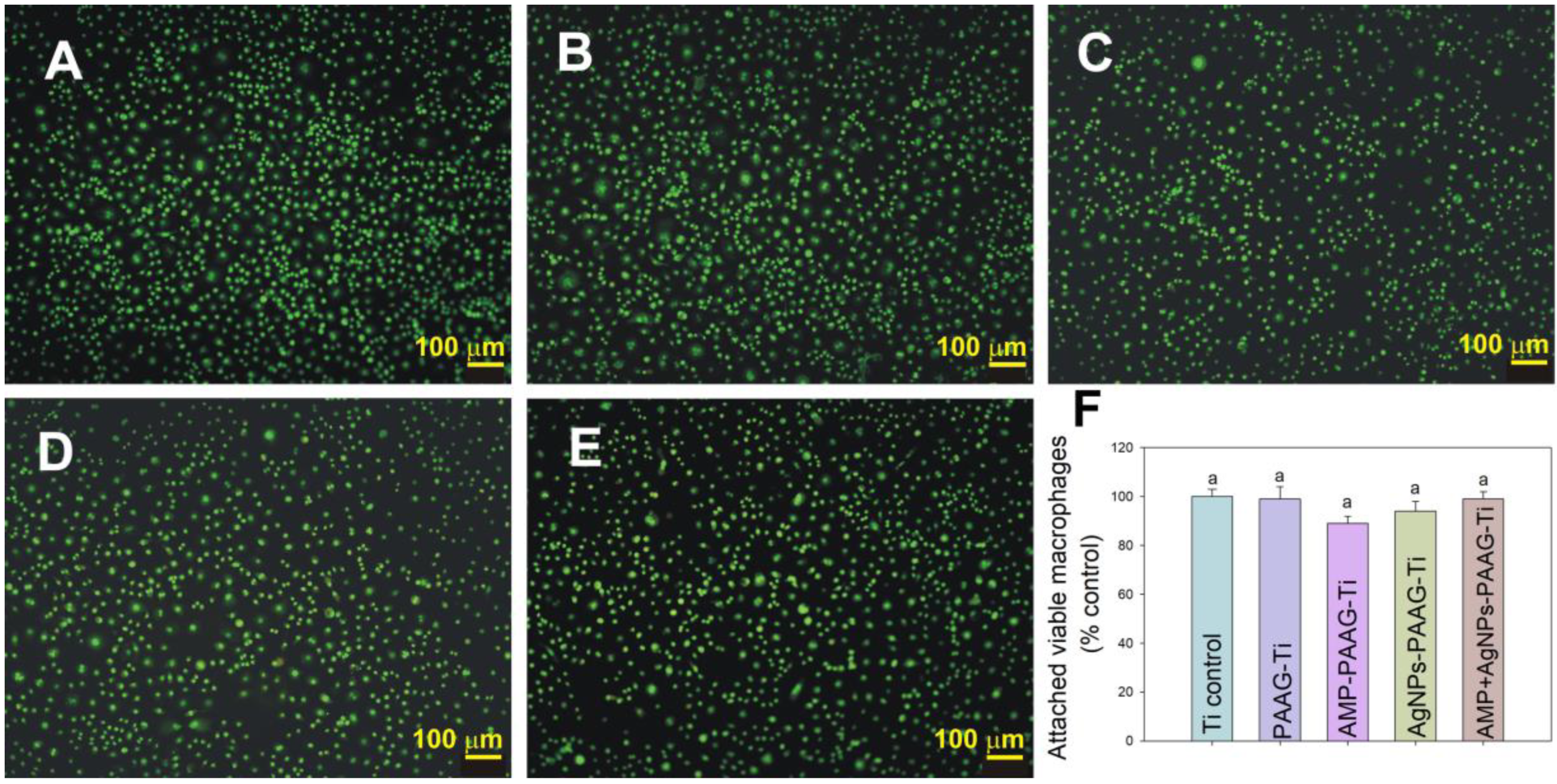 Pathogens 12 00202 g010 Pathogens 12 00202 g010