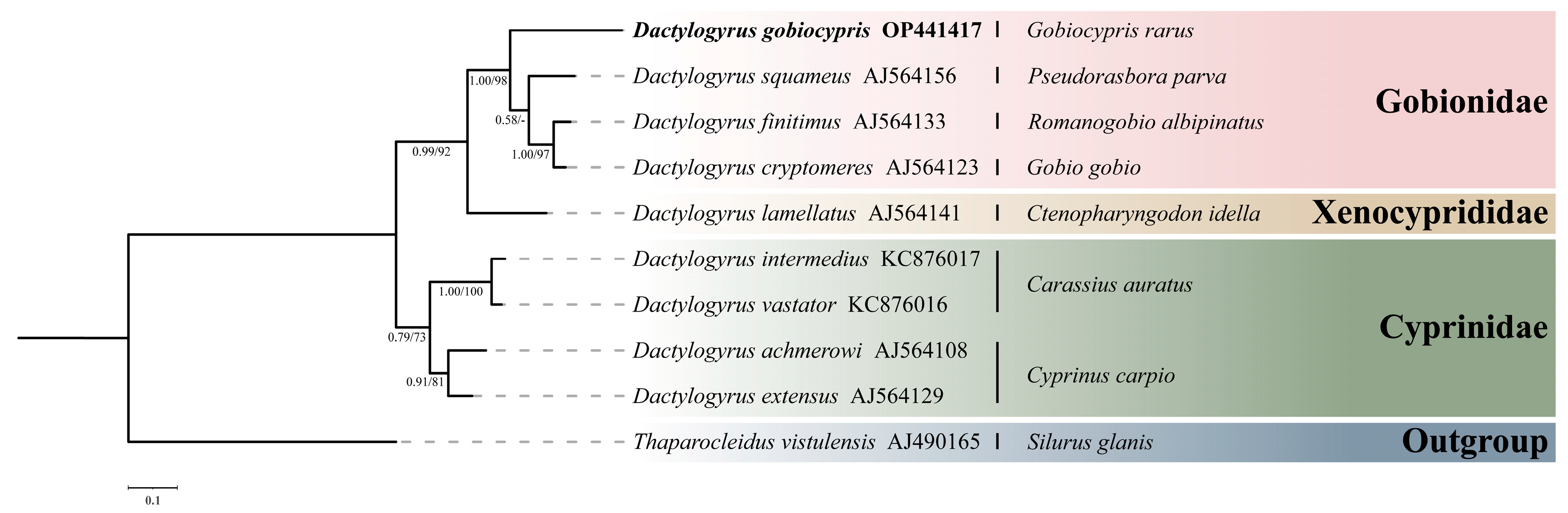 Pathogens 12 00206 g005
