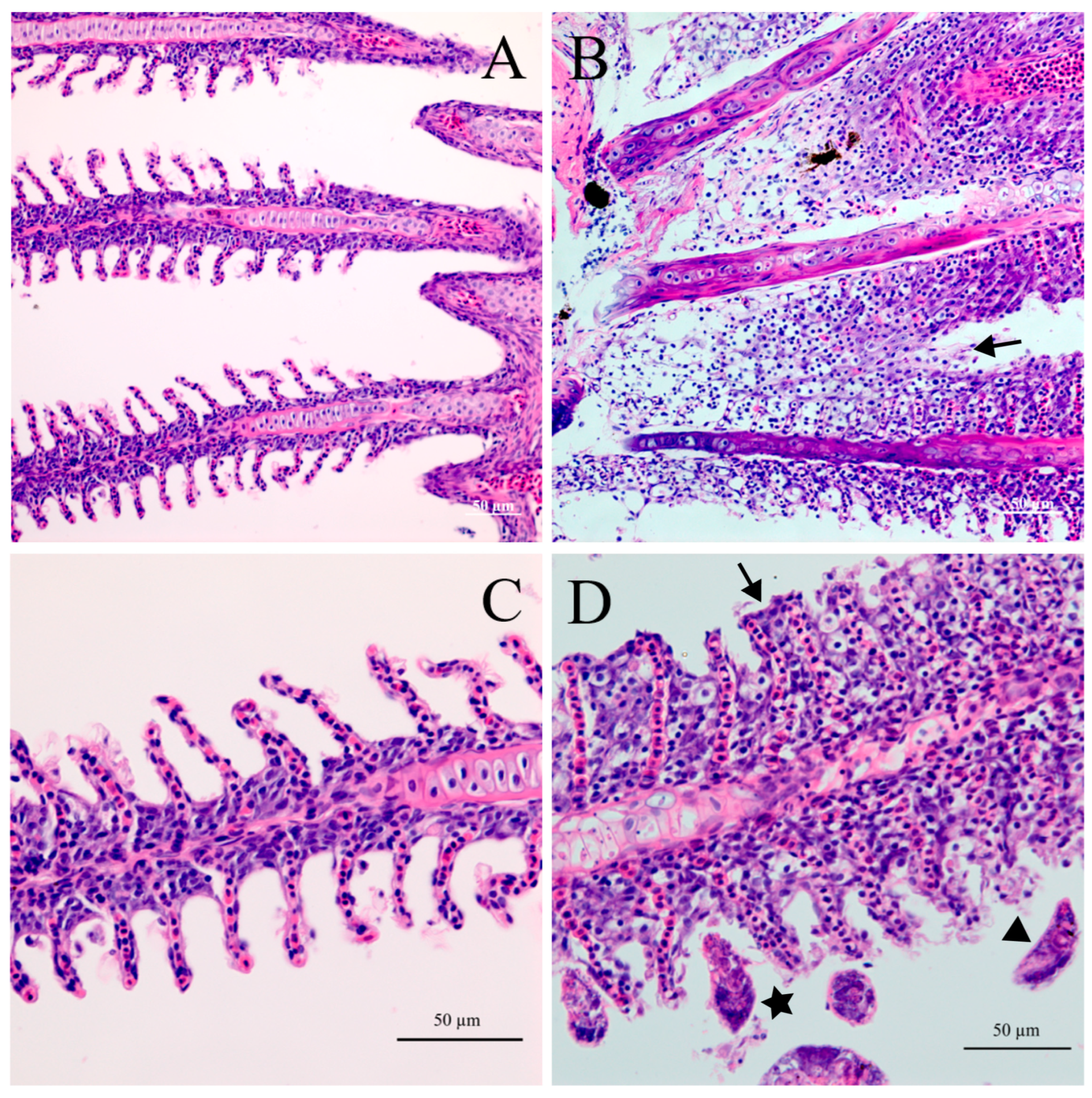 Pathogens 12 00206 g006
