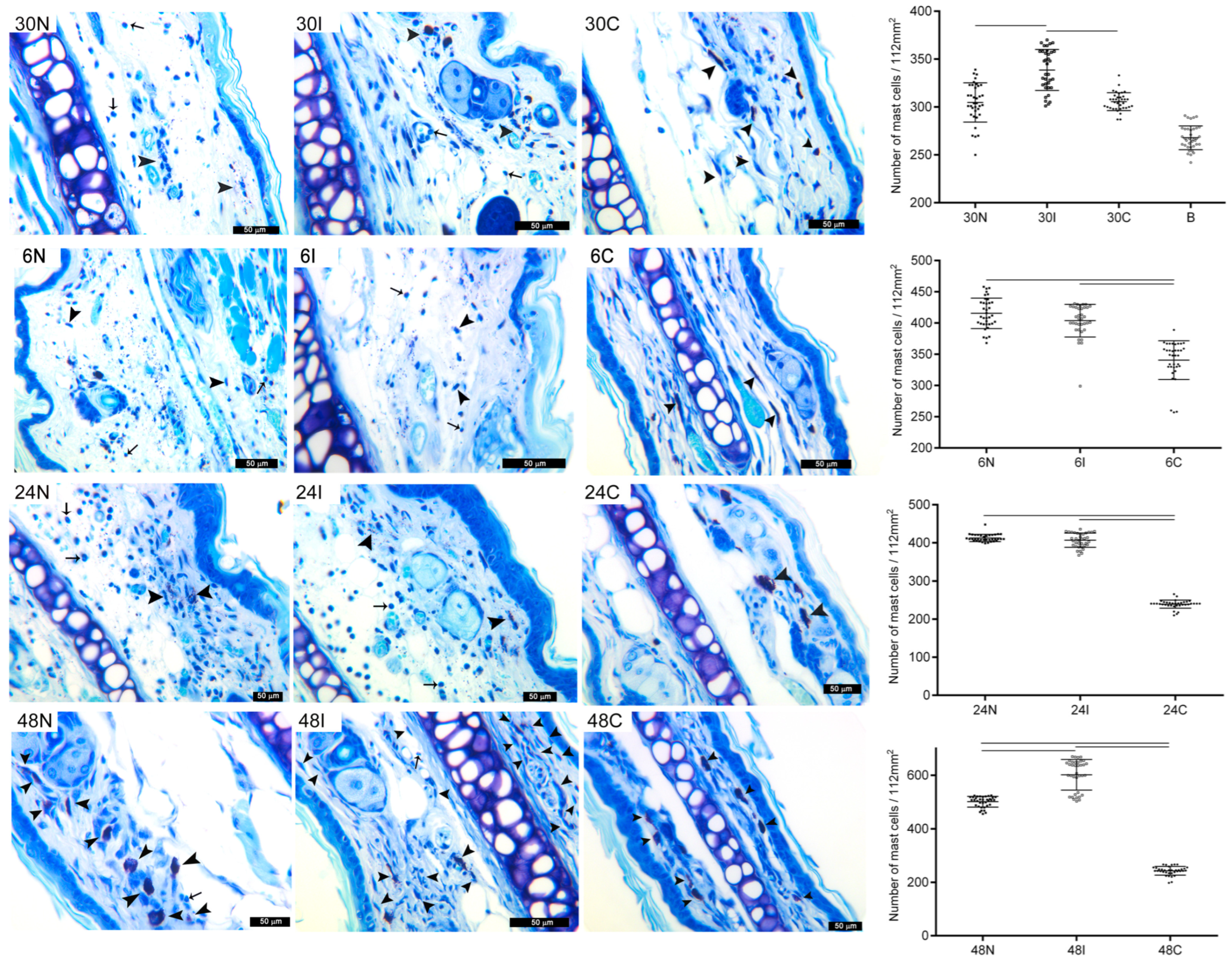 Pathogens 12 00207 g002 Pathogens 12 00207 g002