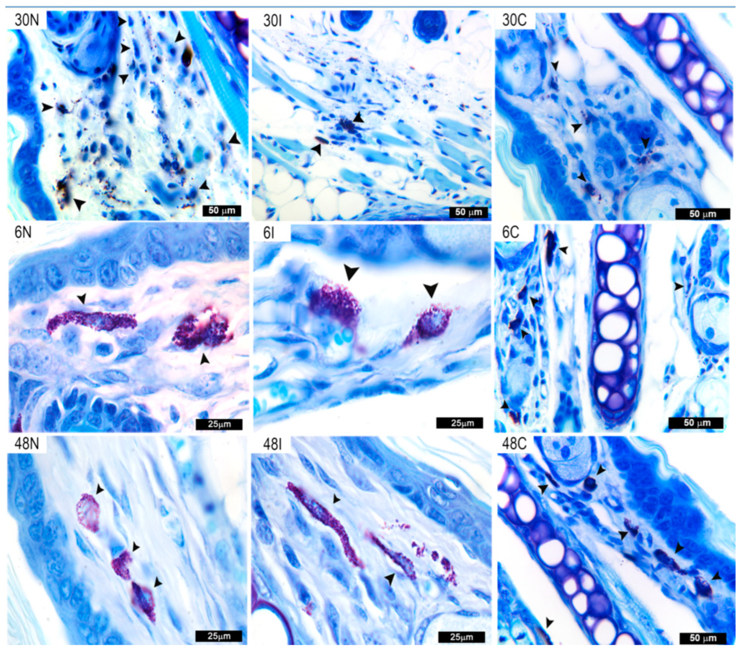 Pathogens 12 00207 g003 Pathogens 12 00207 g003