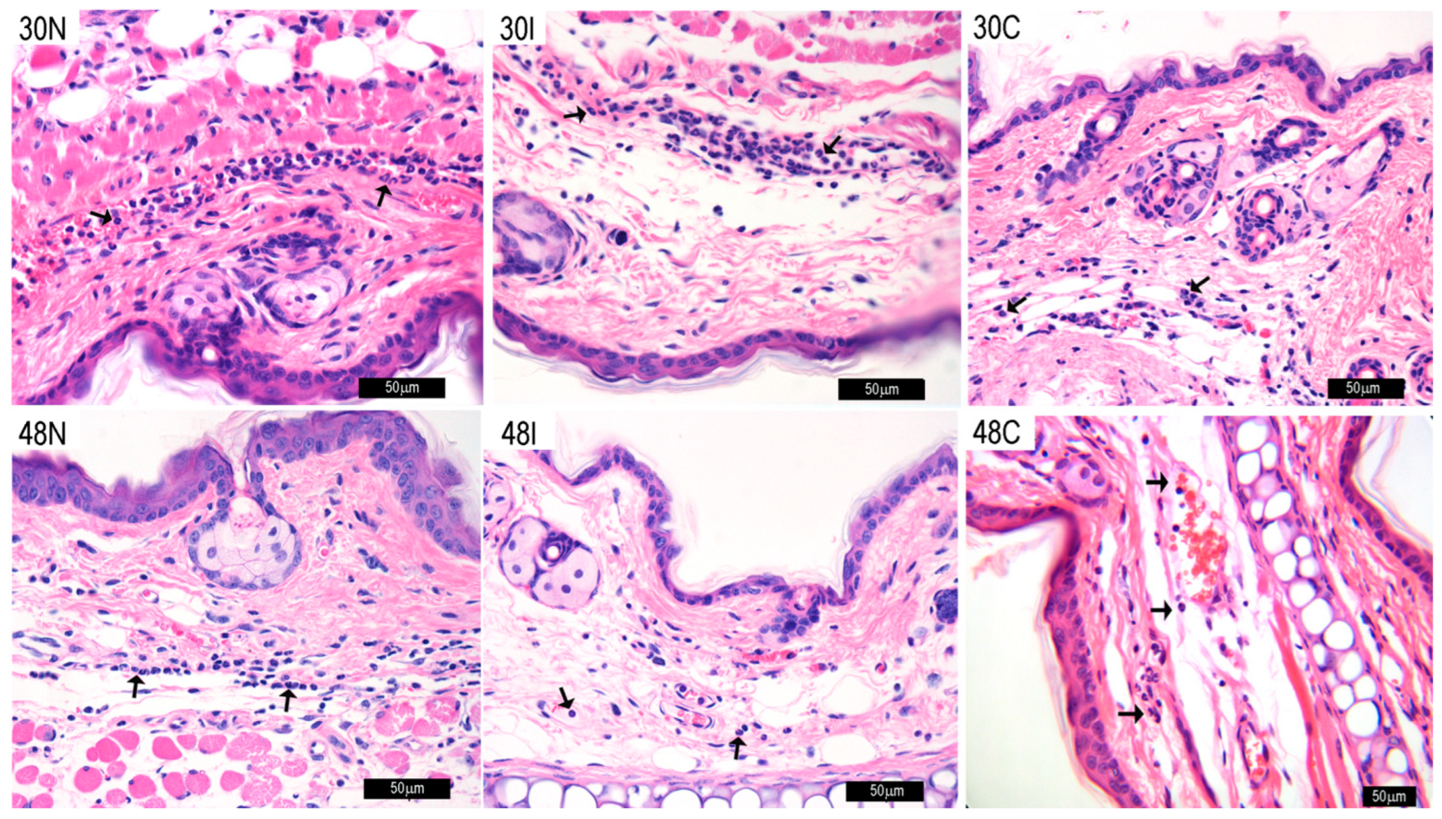 Pathogens 12 00207 g009 Pathogens 12 00207 g009