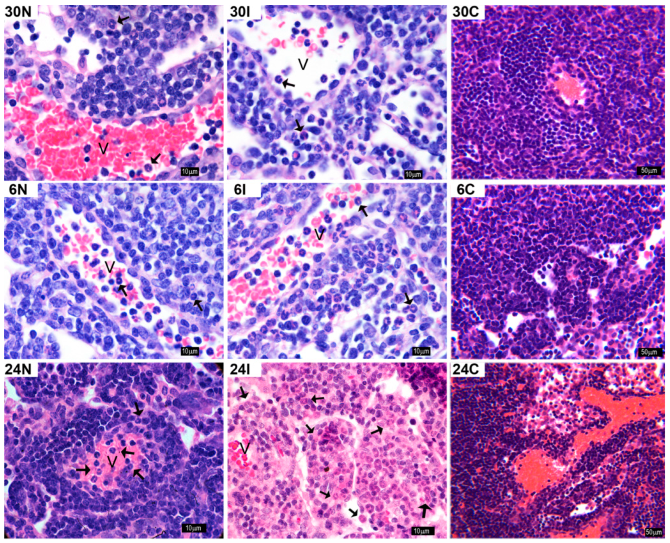 Pathogens 12 00207 g010 Pathogens 12 00207 g010