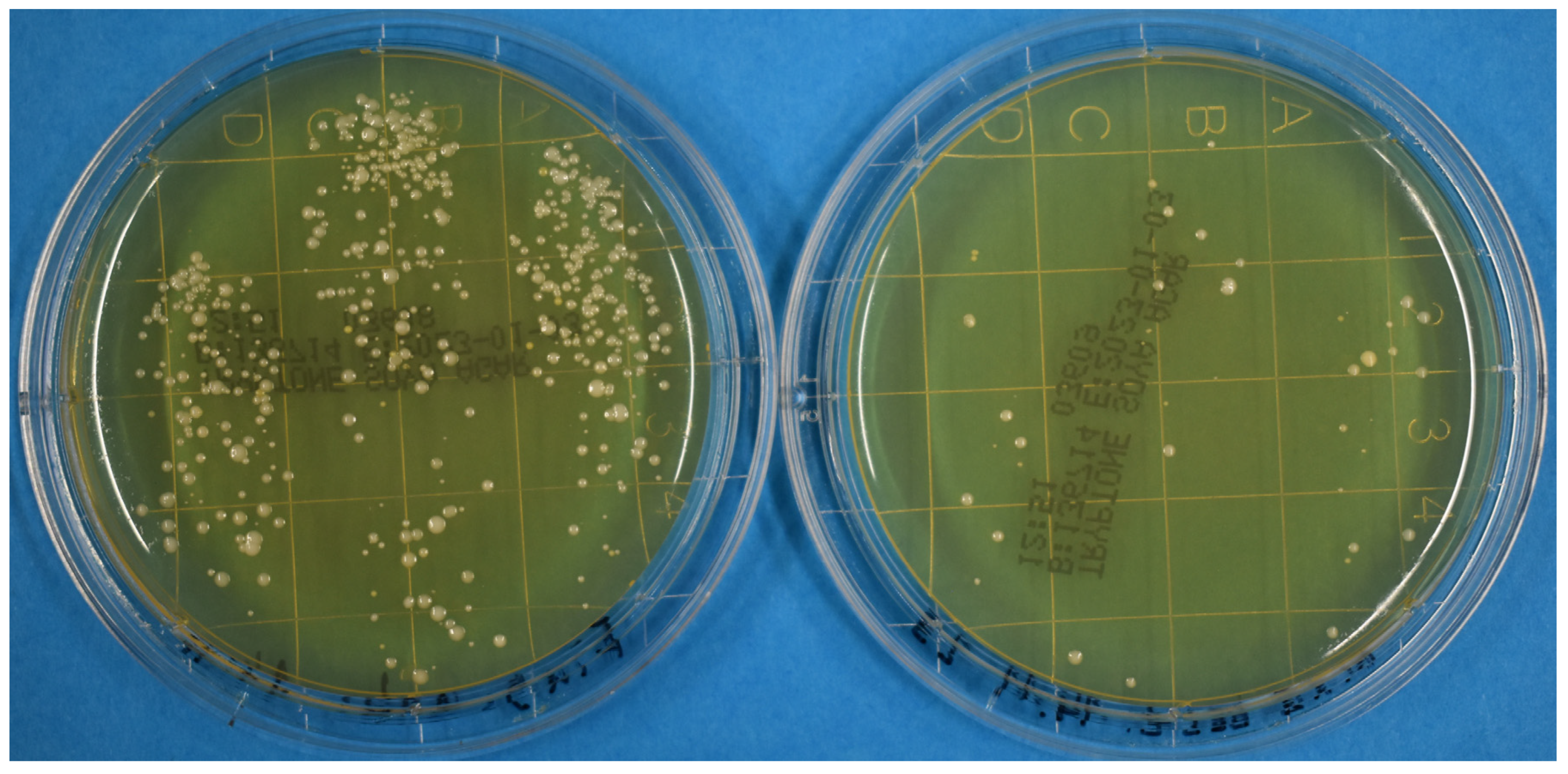 Pathogens 12 00213 g001 Pathogens 12 00213 g001