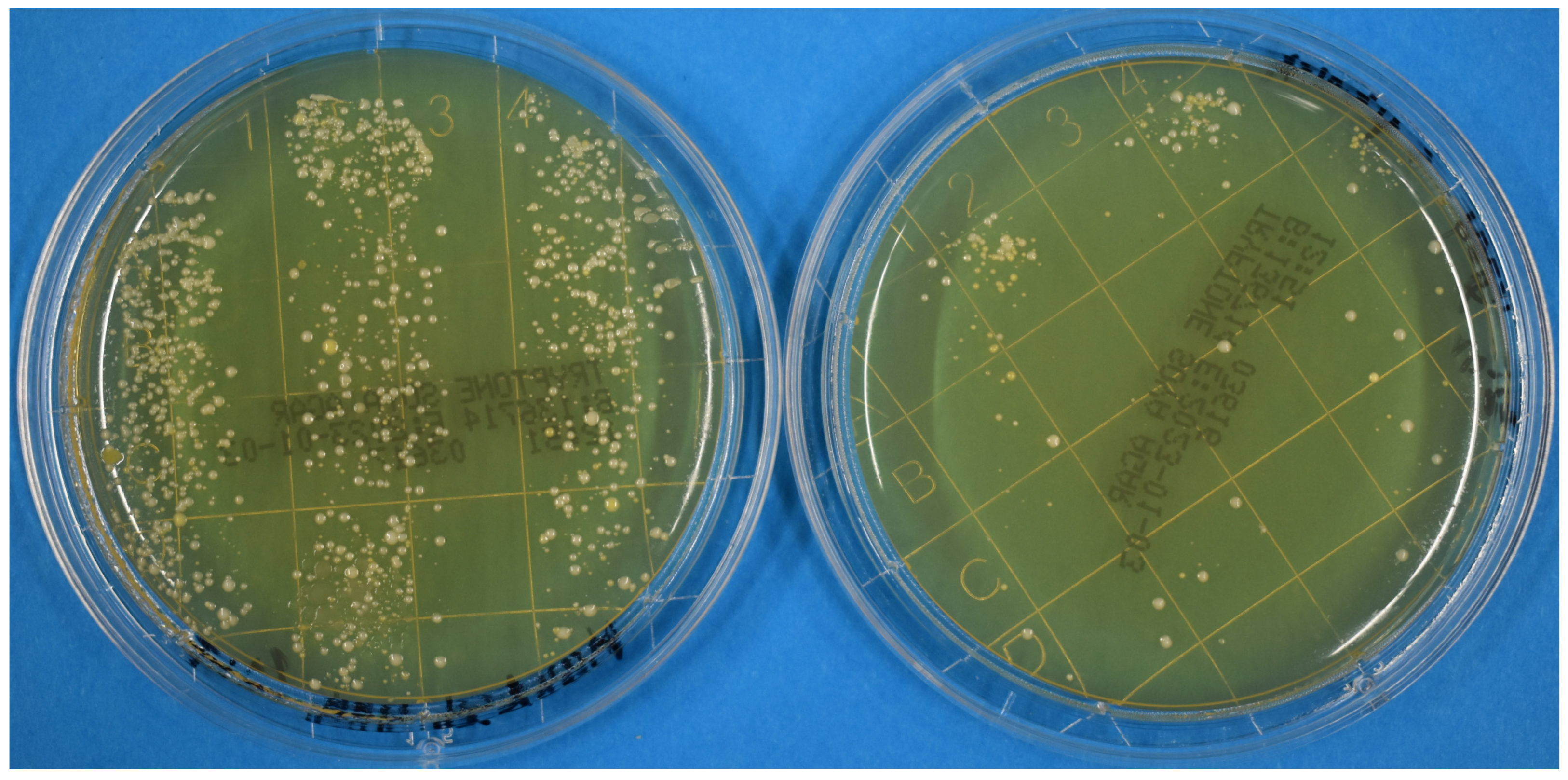 Pathogens 12 00213 g002 Pathogens 12 00213 g002
