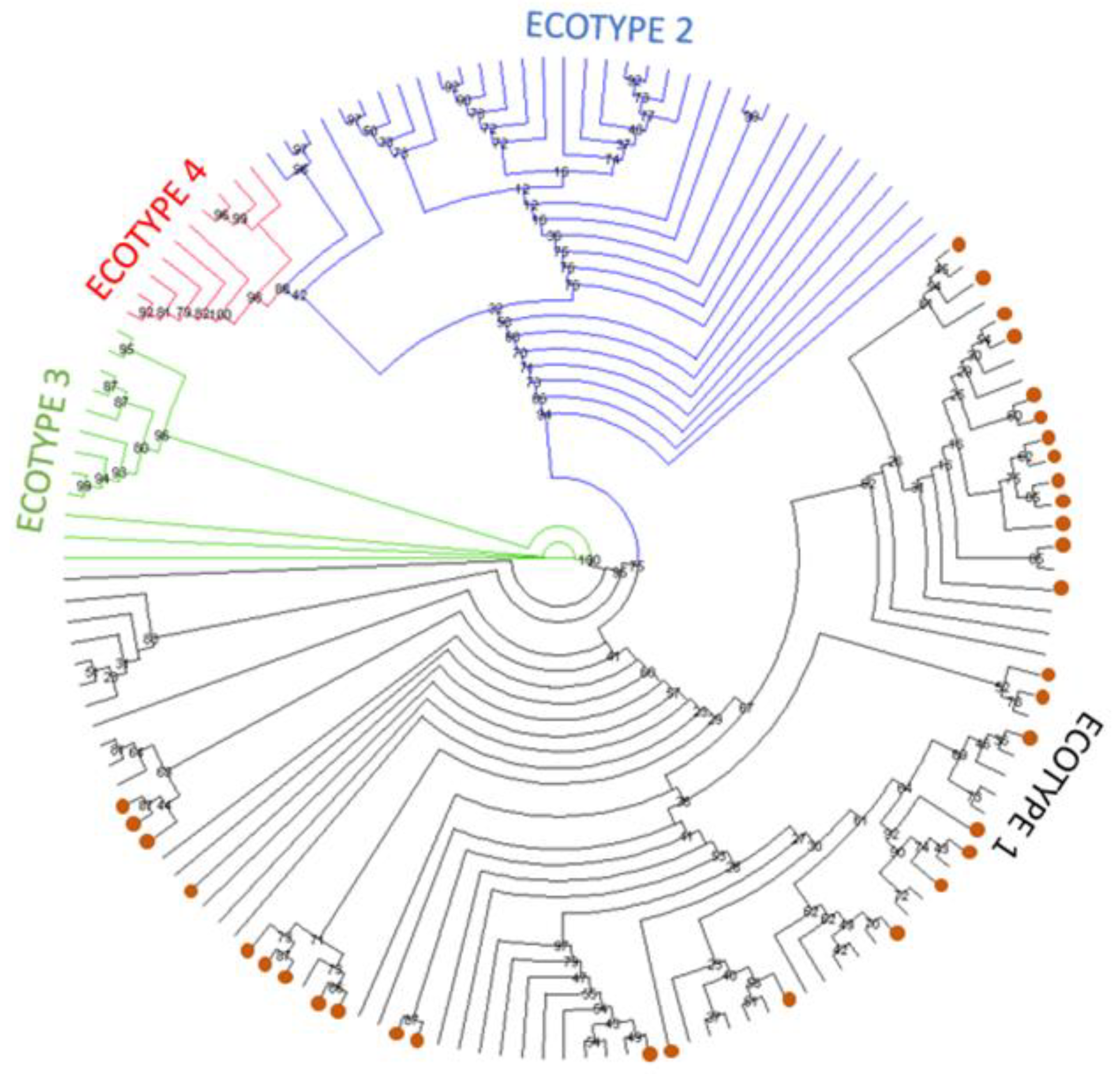 Pathogens 12 00216 g001 Pathogens 12 00216 g001