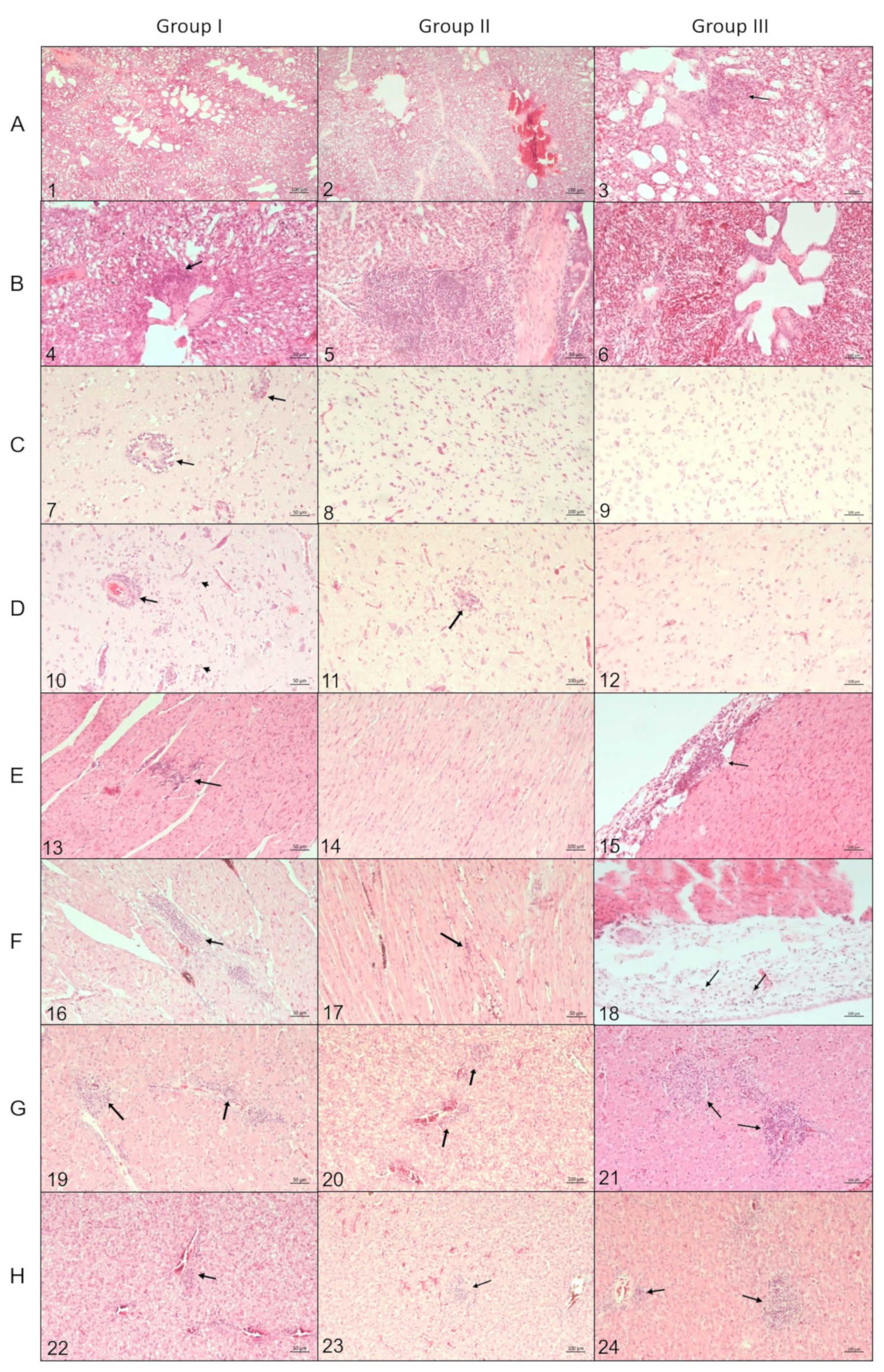 Pathogens 12 00217 g003