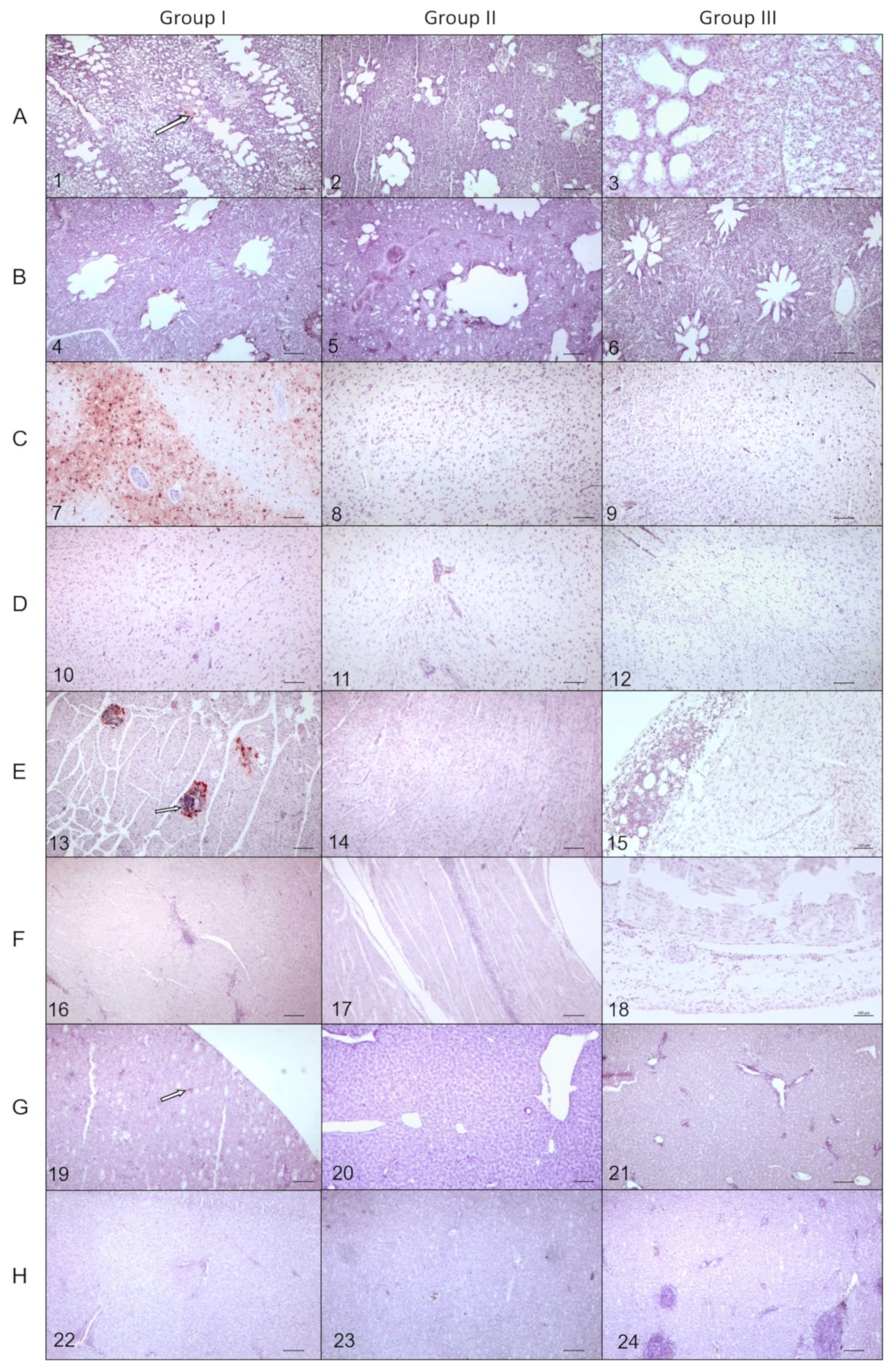 Pathogens 12 00217 g004