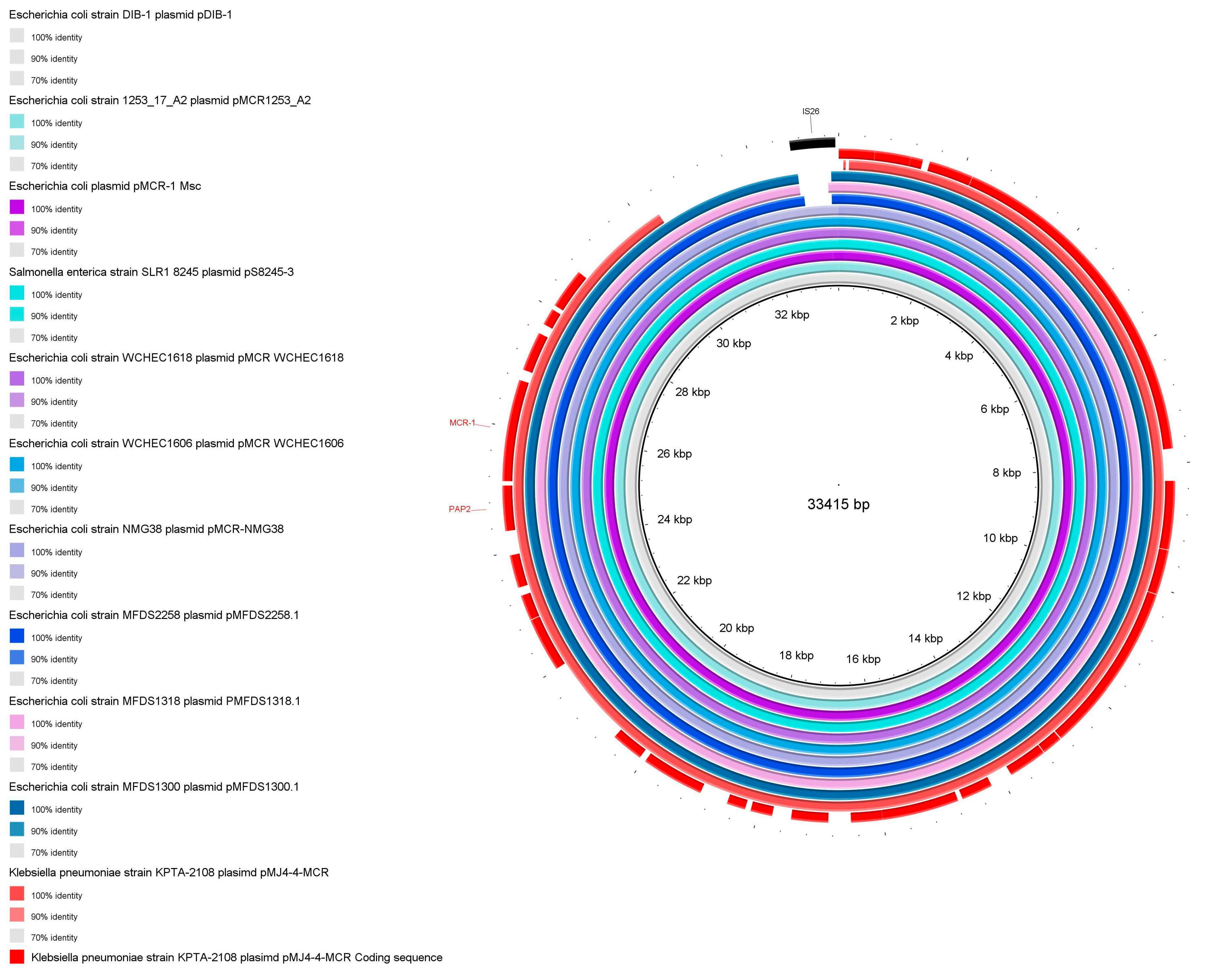 Genomic Characteristics and Phylogenetic Analyses of a