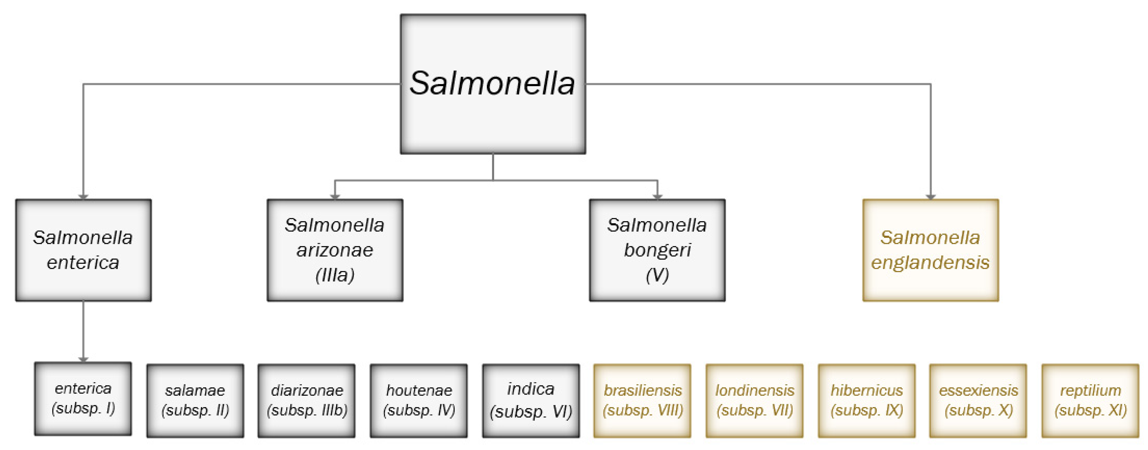 Pathogens 12 00223 g001 Pathogens 12 00223 g001