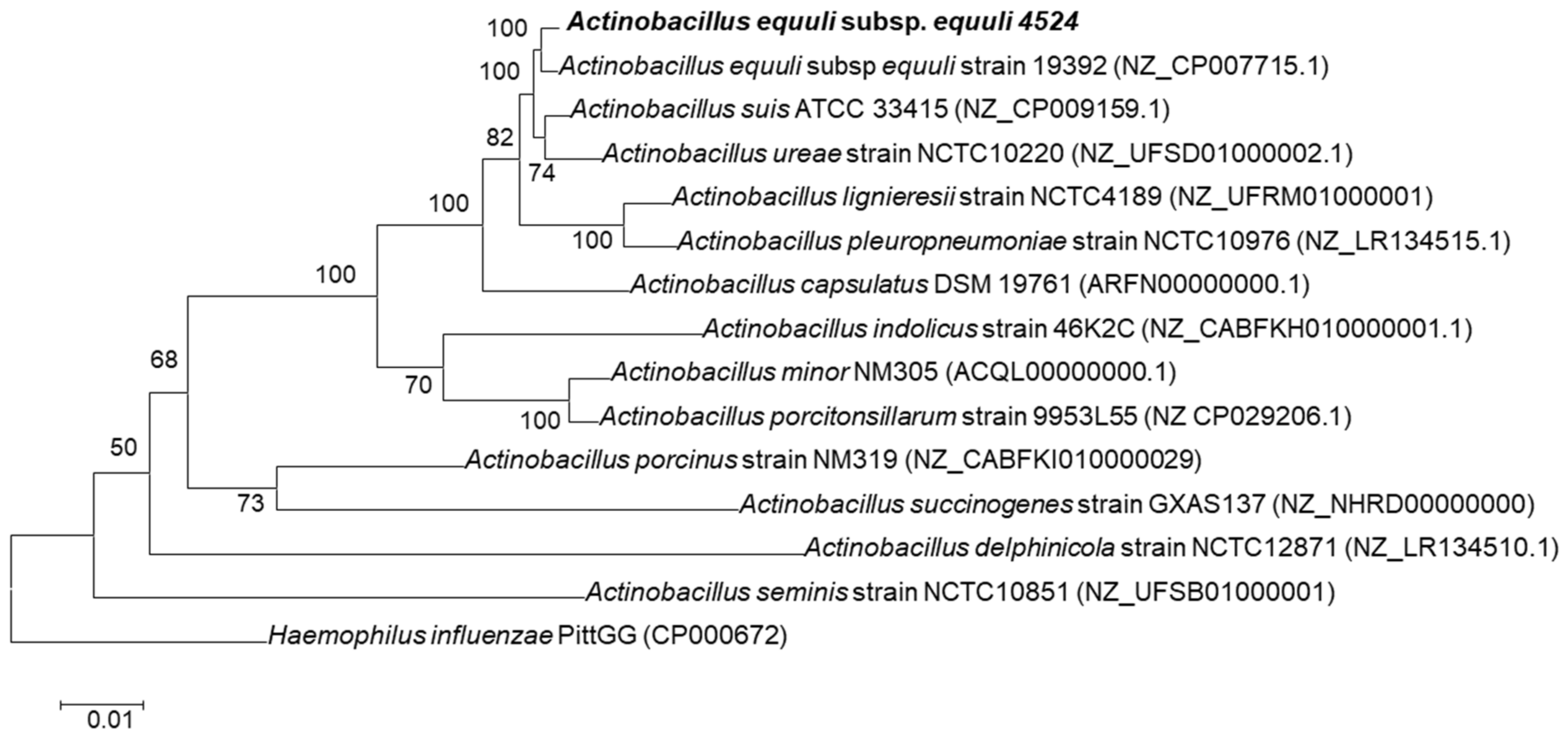 Pathogens 12 00224 g003 Pathogens 12 00224 g003