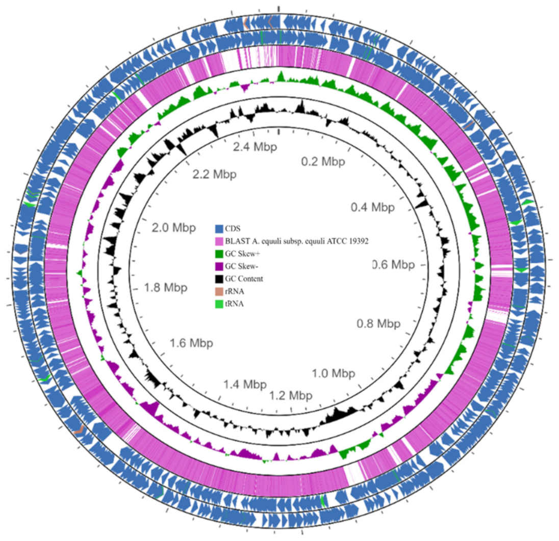 Pathogens 12 00224 g004 Pathogens 12 00224 g004