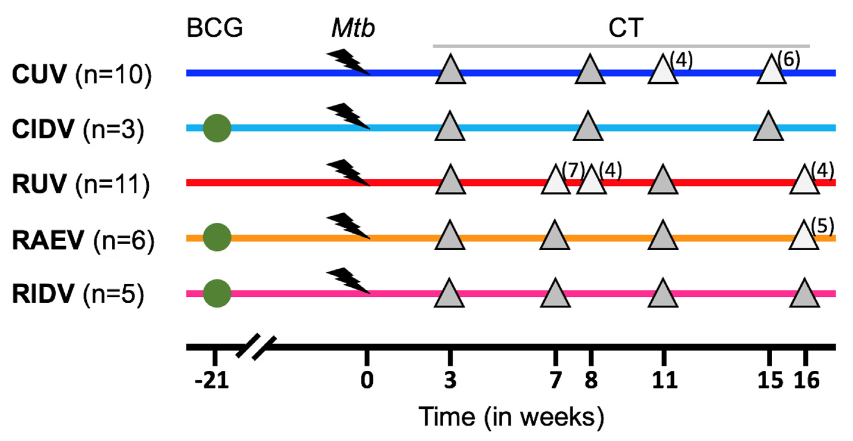 Pathogens 12 00236 g001