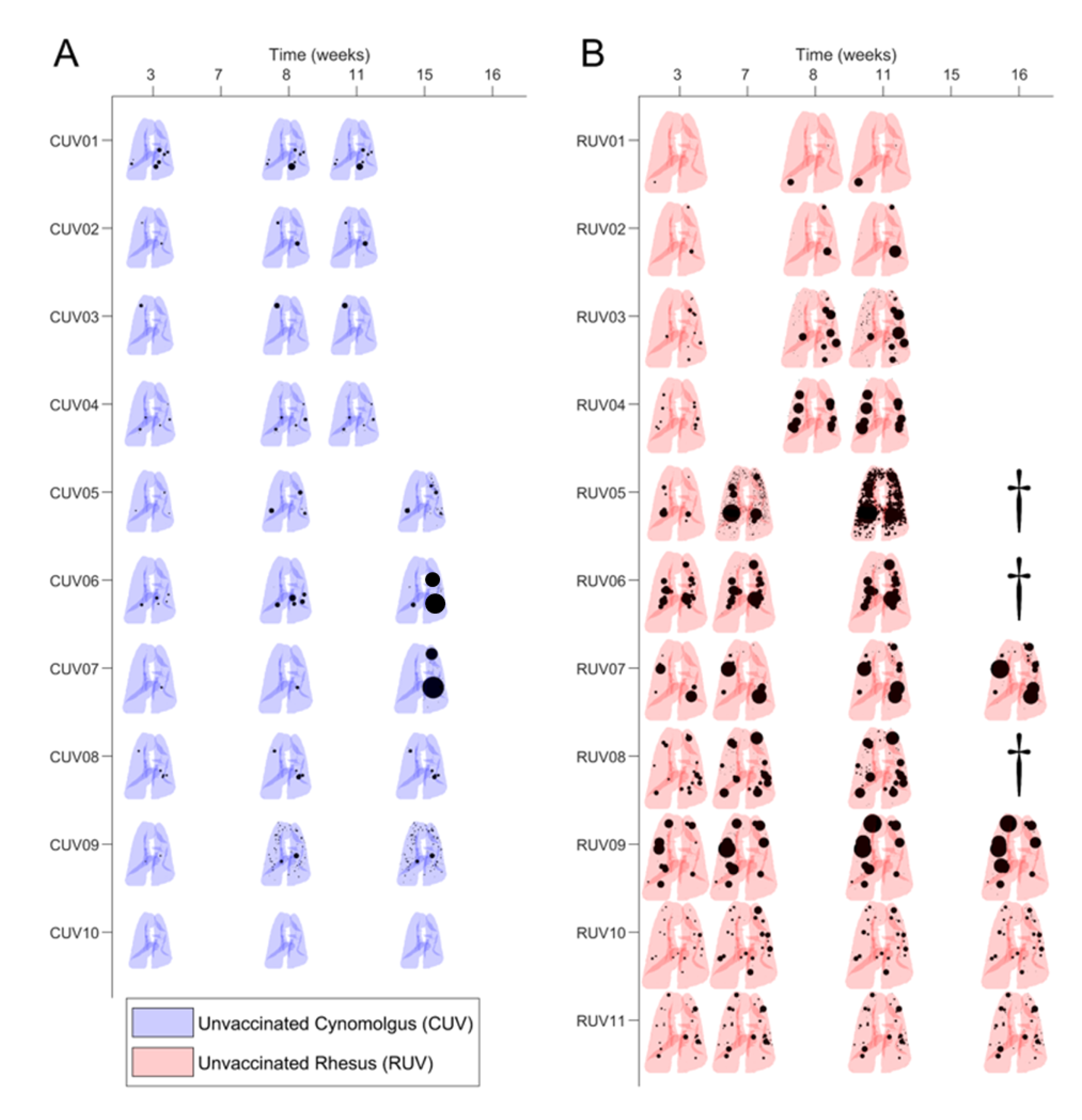 Pathogens 12 00236 g006