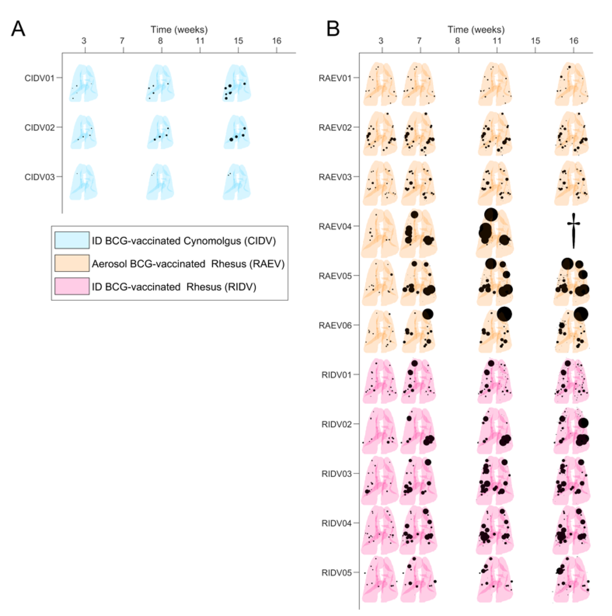 Pathogens 12 00236 g010