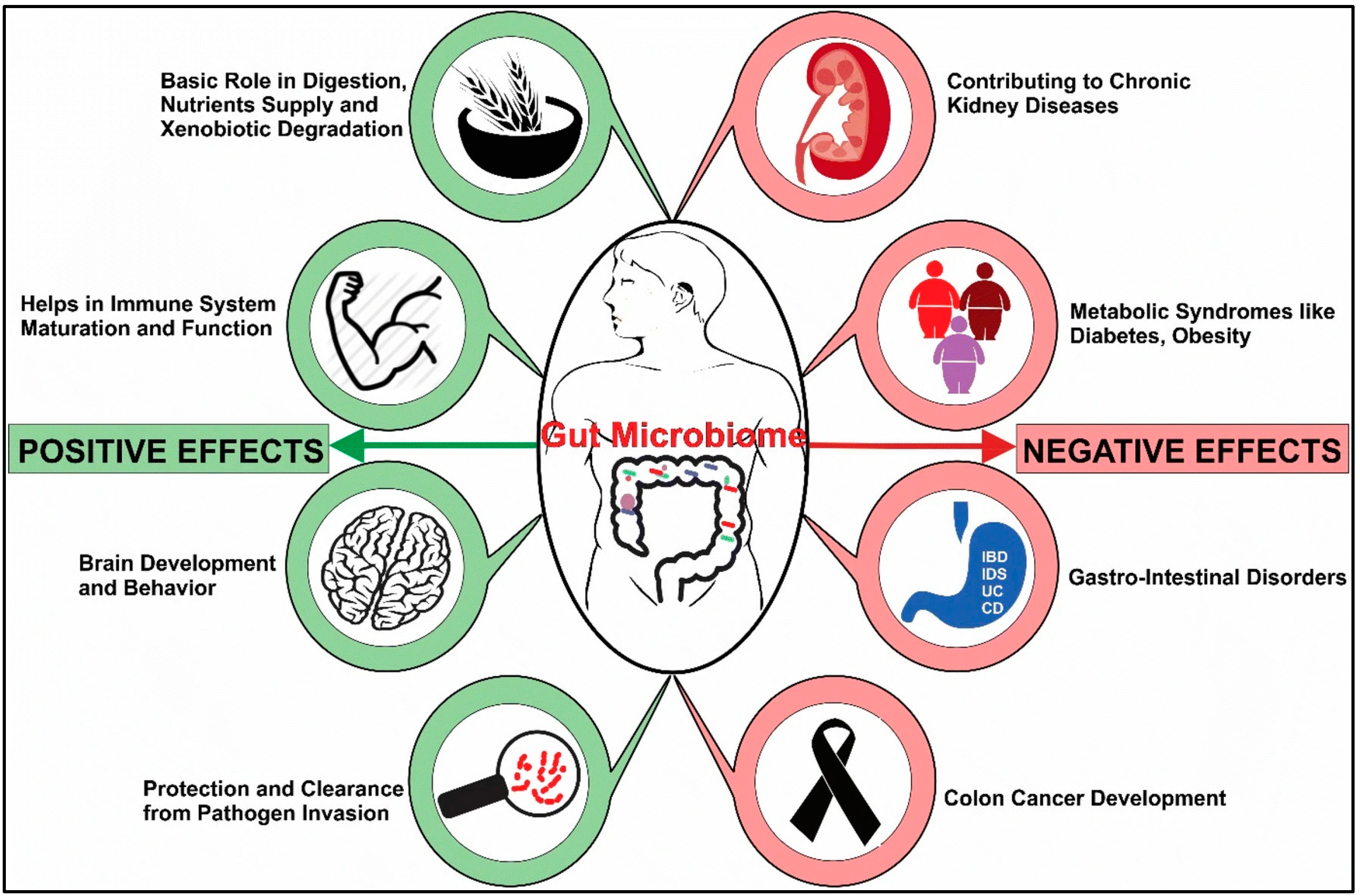 Pathogens 12 00238 g001 Pathogens 12 00238 g001