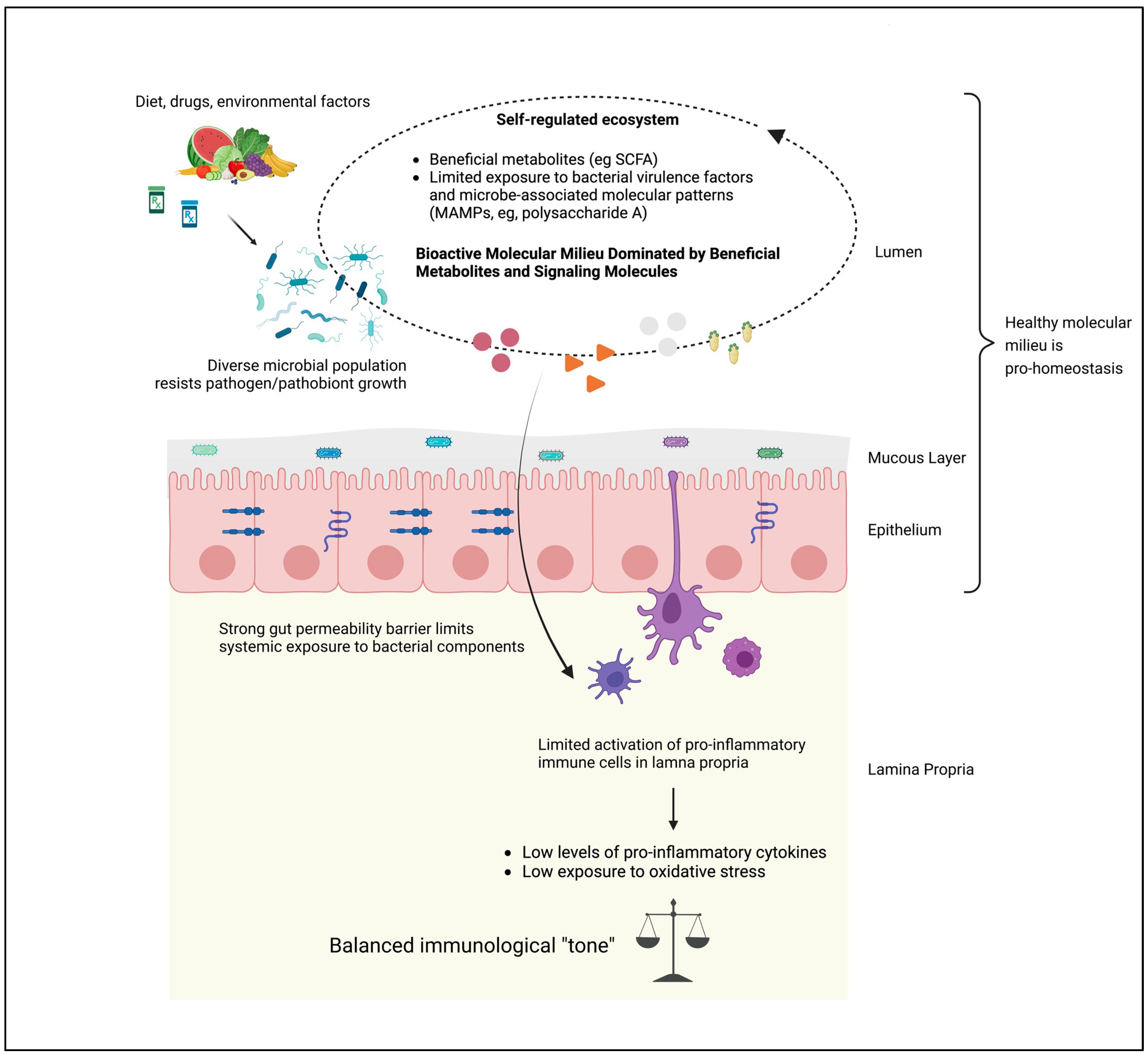 Pathogens 12 00238 g002 Pathogens 12 00238 g002