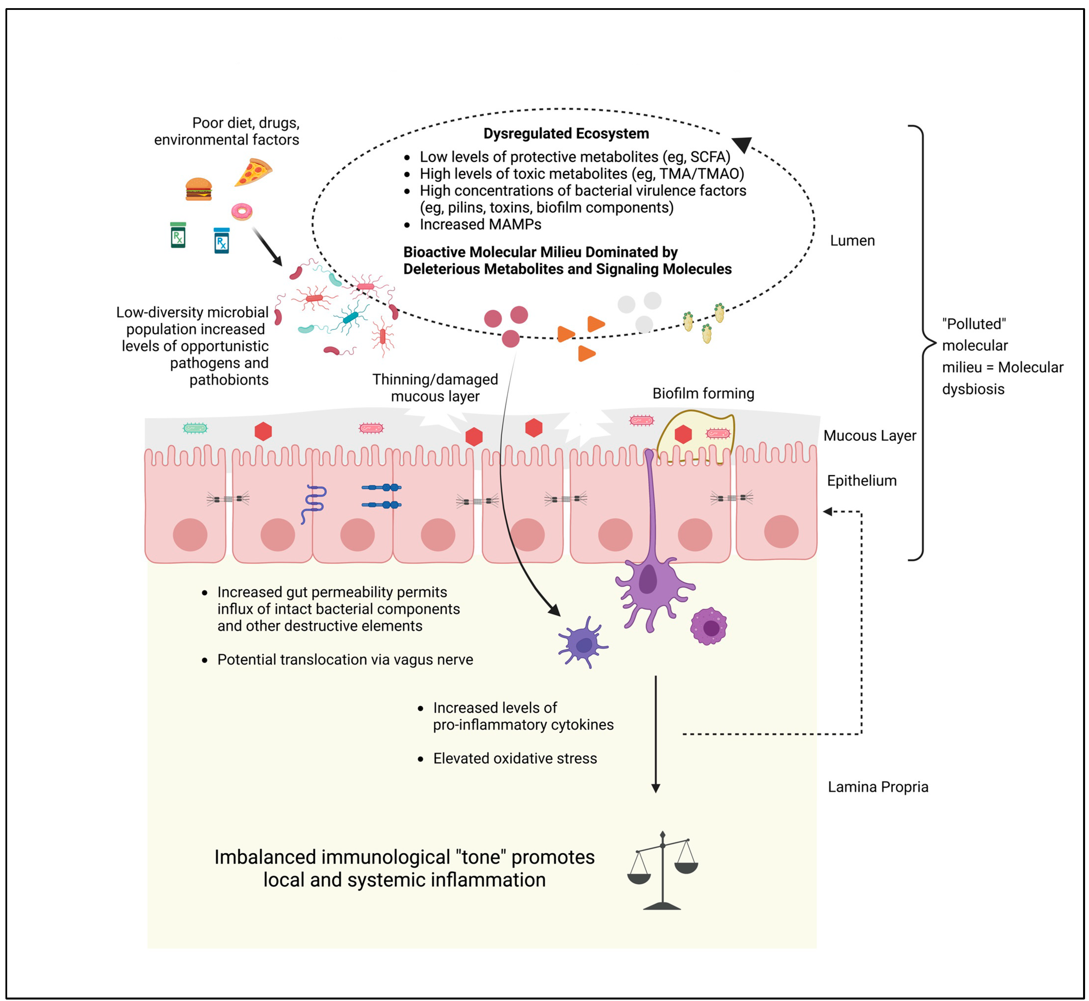 Pathogens 12 00238 g003 Pathogens 12 00238 g003