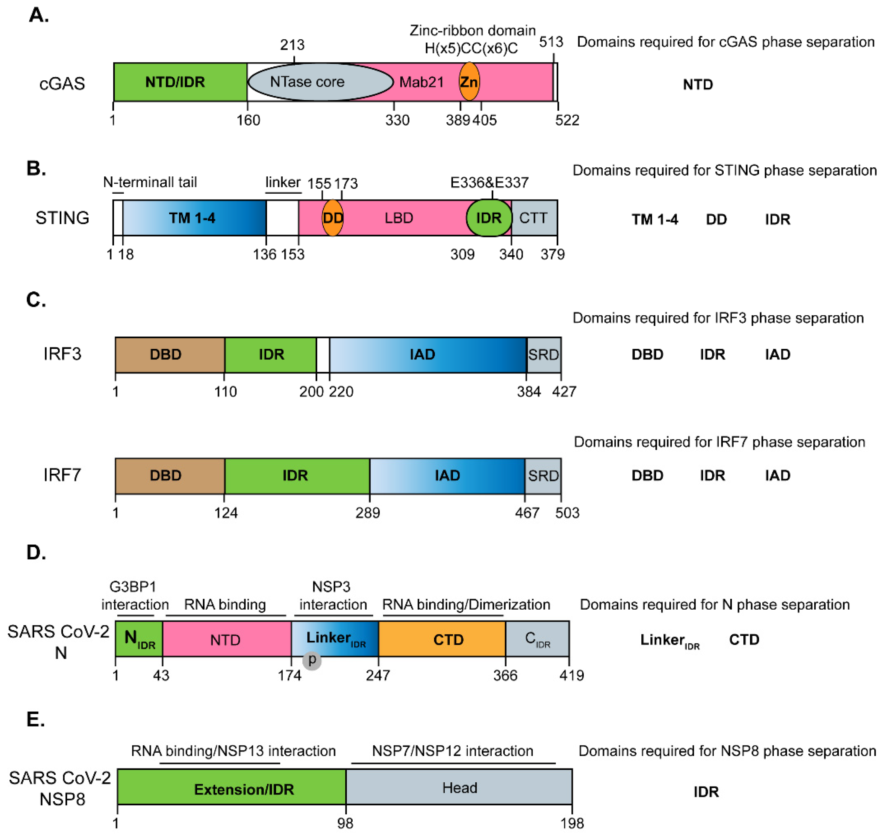 Pathogens 12 00243 g002 550