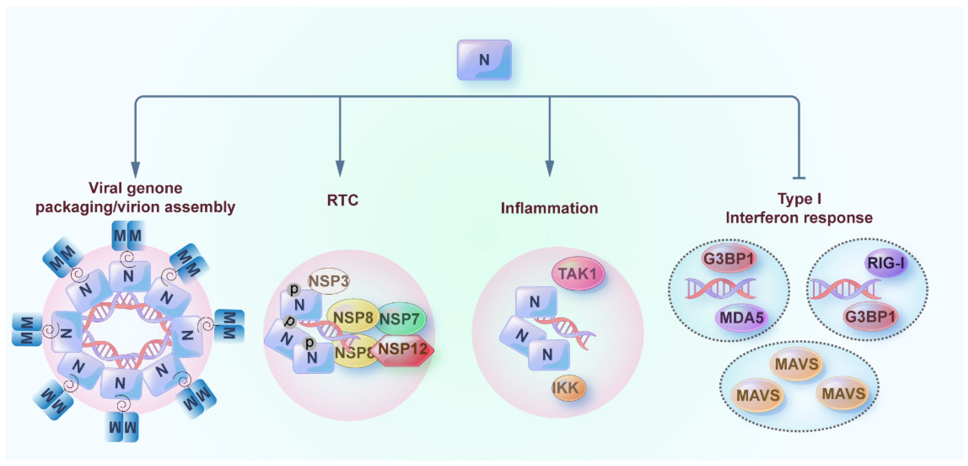 Pathogens 12 00243 g003 550