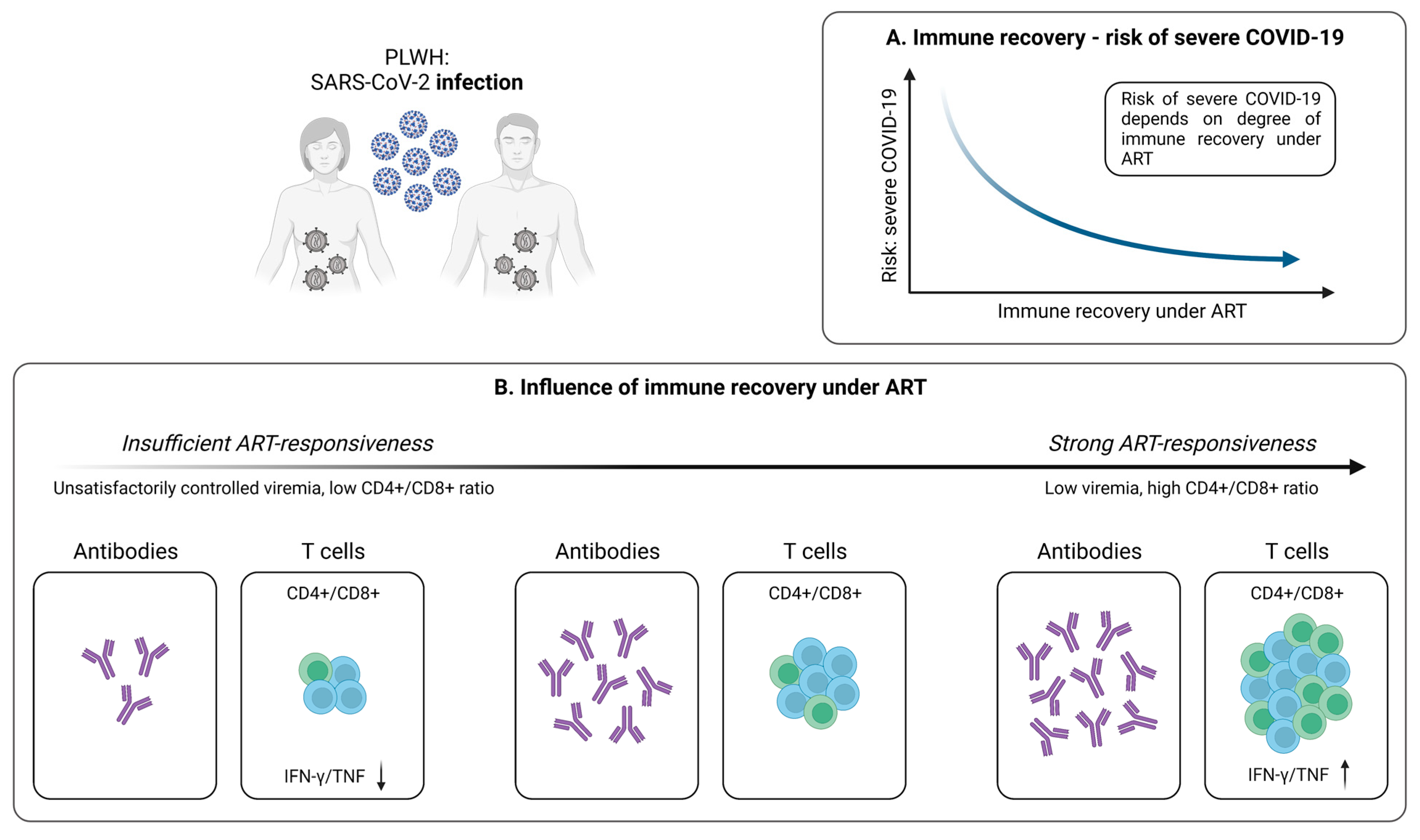 Pathogens 12 00244 g003 Pathogens 12 00244 g003
