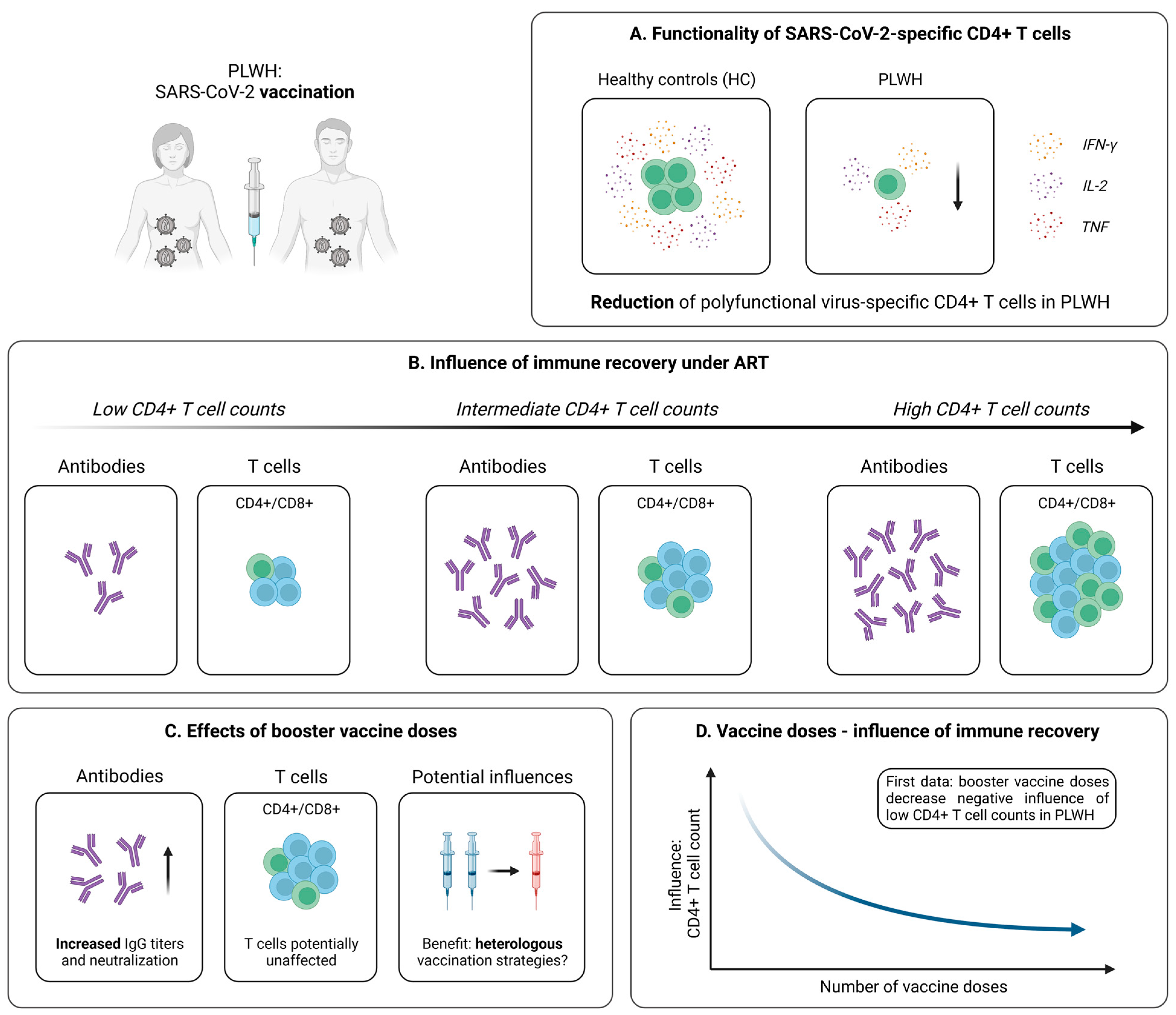 Pathogens 12 00244 g004 Pathogens 12 00244 g004