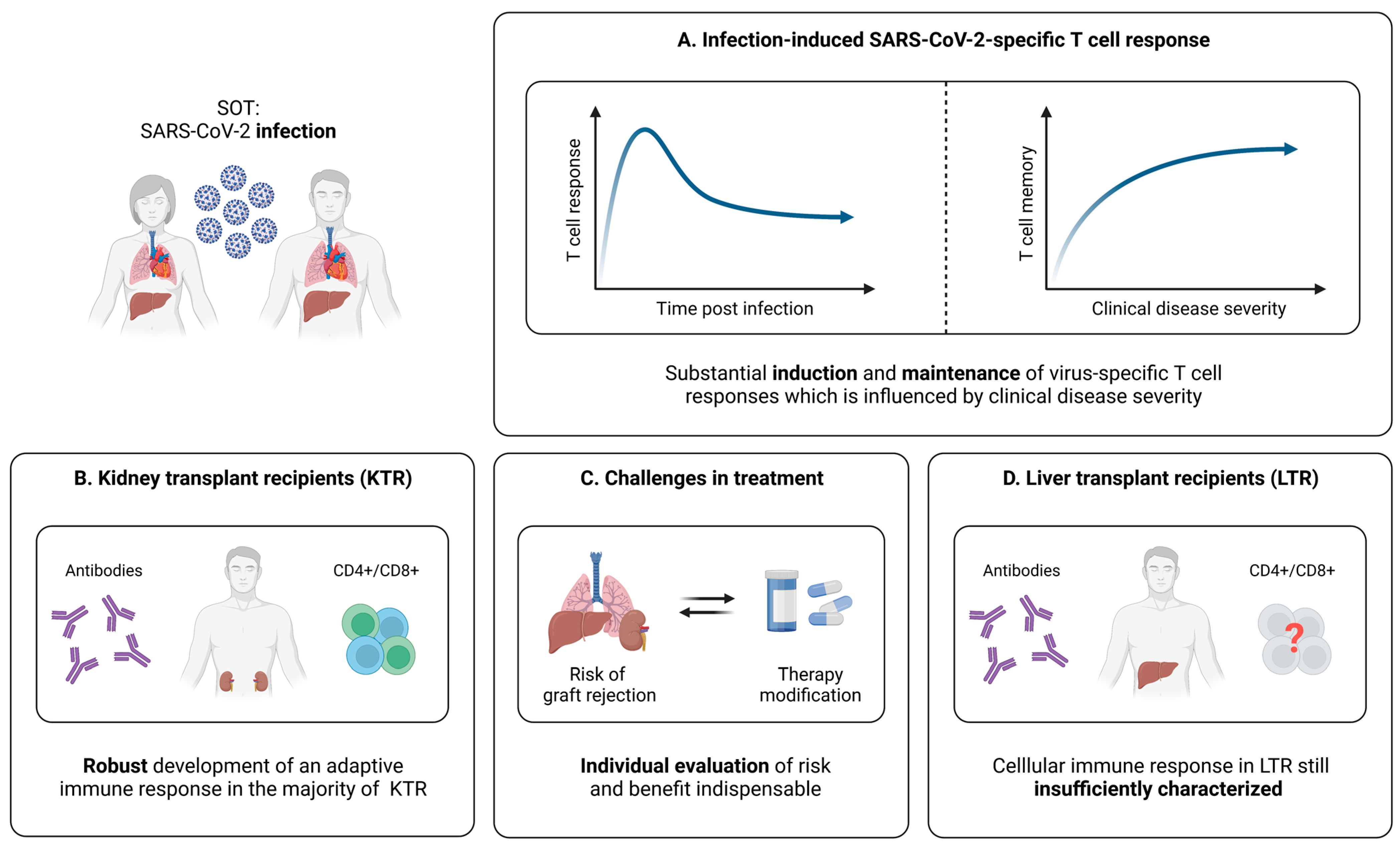 Pathogens 12 00244 g005 Pathogens 12 00244 g005