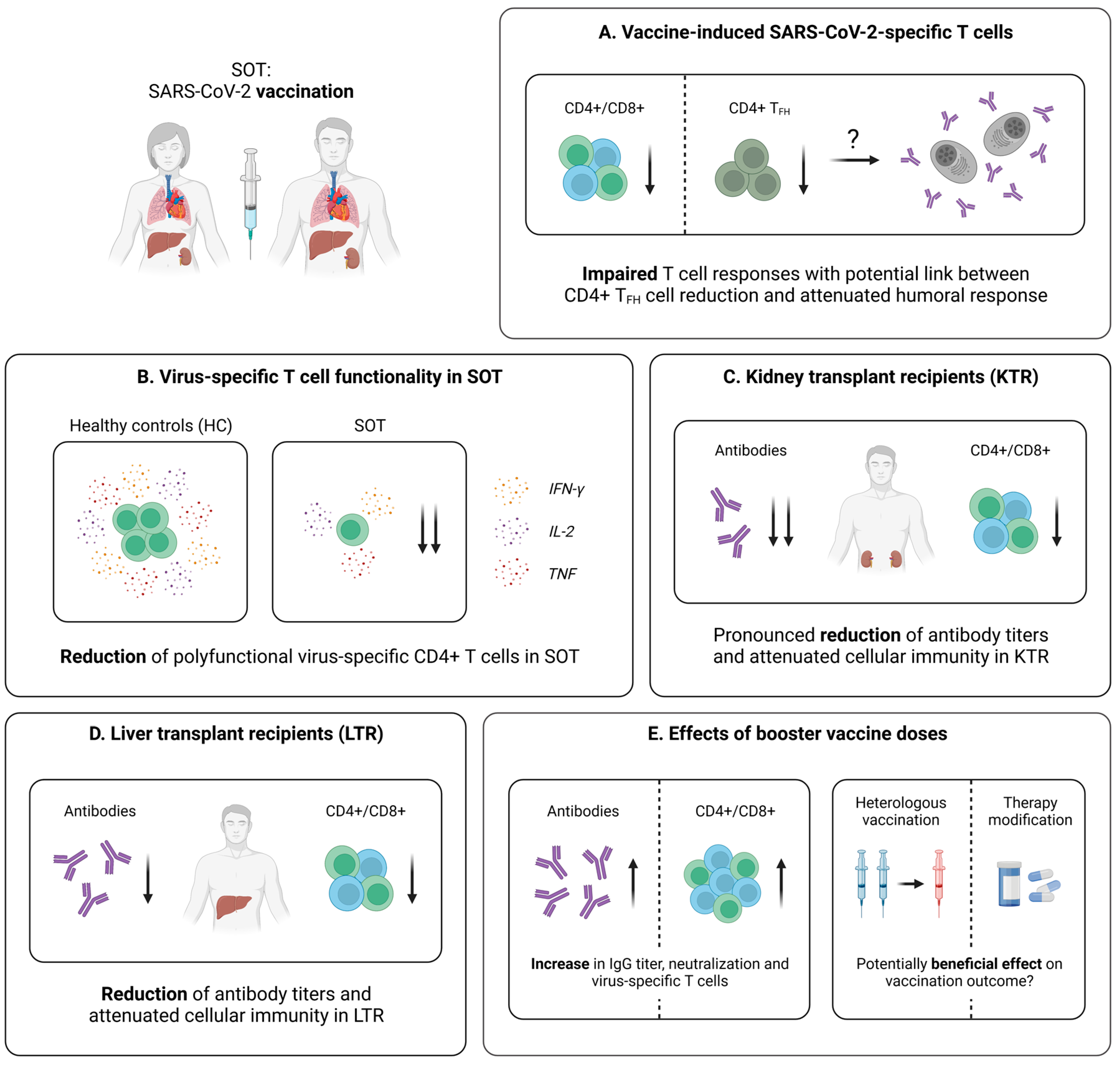 Pathogens 12 00244 g006 Pathogens 12 00244 g006