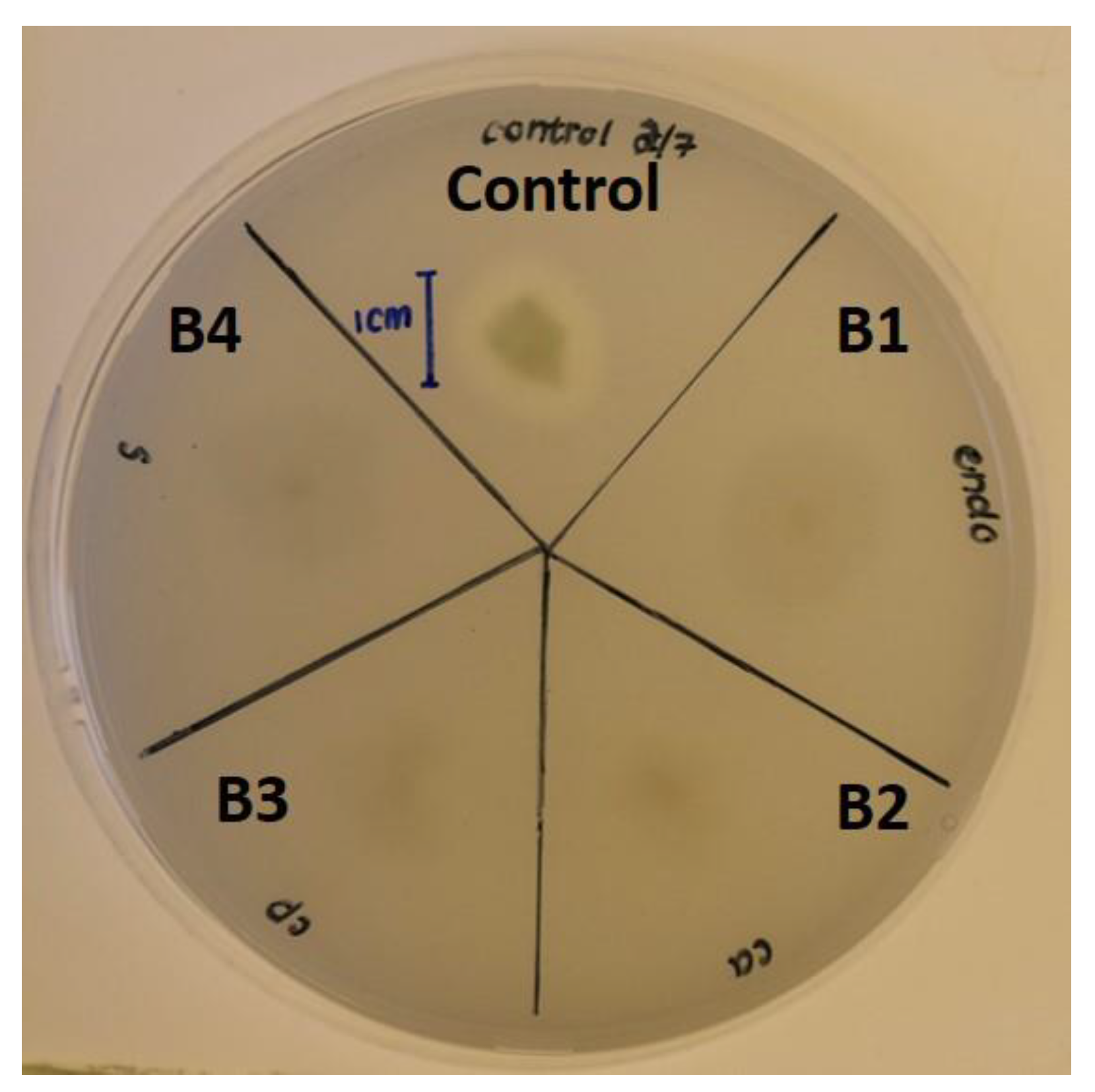 Pathogens 12 00254 g004 Pathogens 12 00254 g004