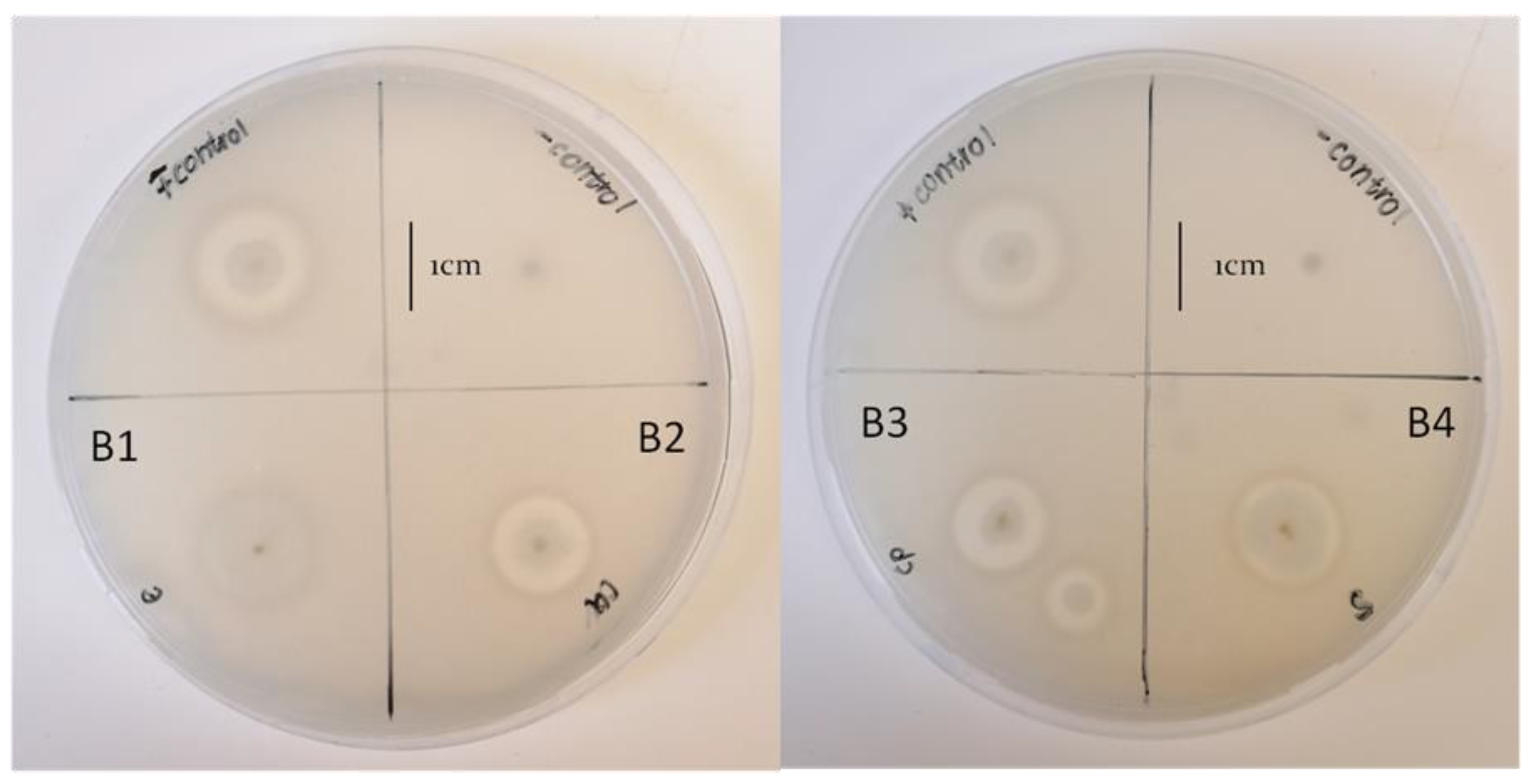 Pathogens 12 00254 g006 Pathogens 12 00254 g006