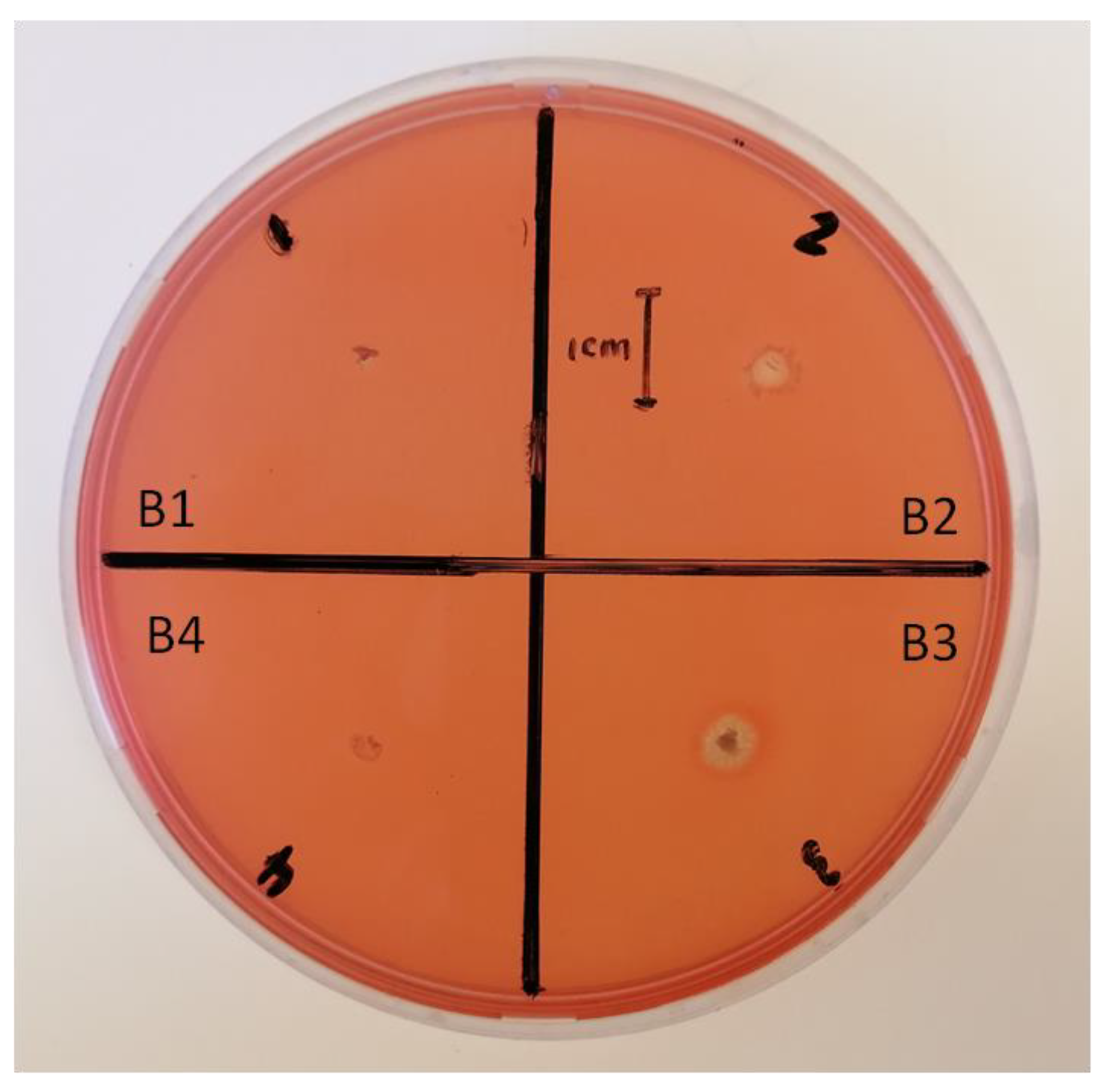 Pathogens 12 00254 g007 Pathogens 12 00254 g007