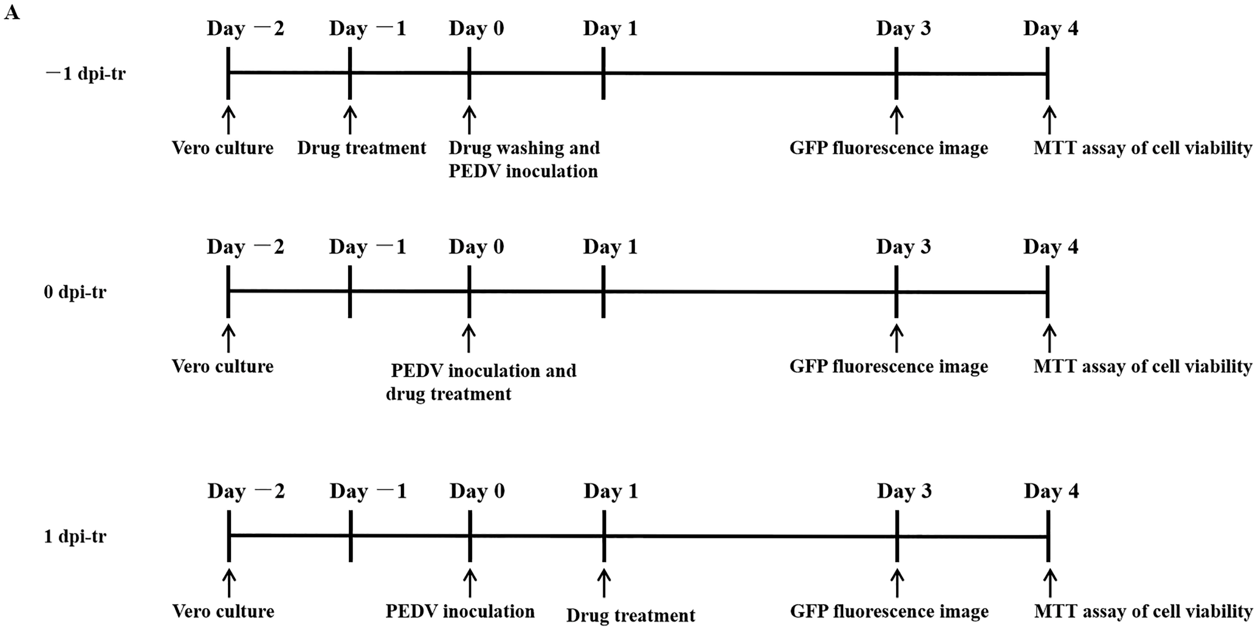 Pathogens 12 00263 g002a