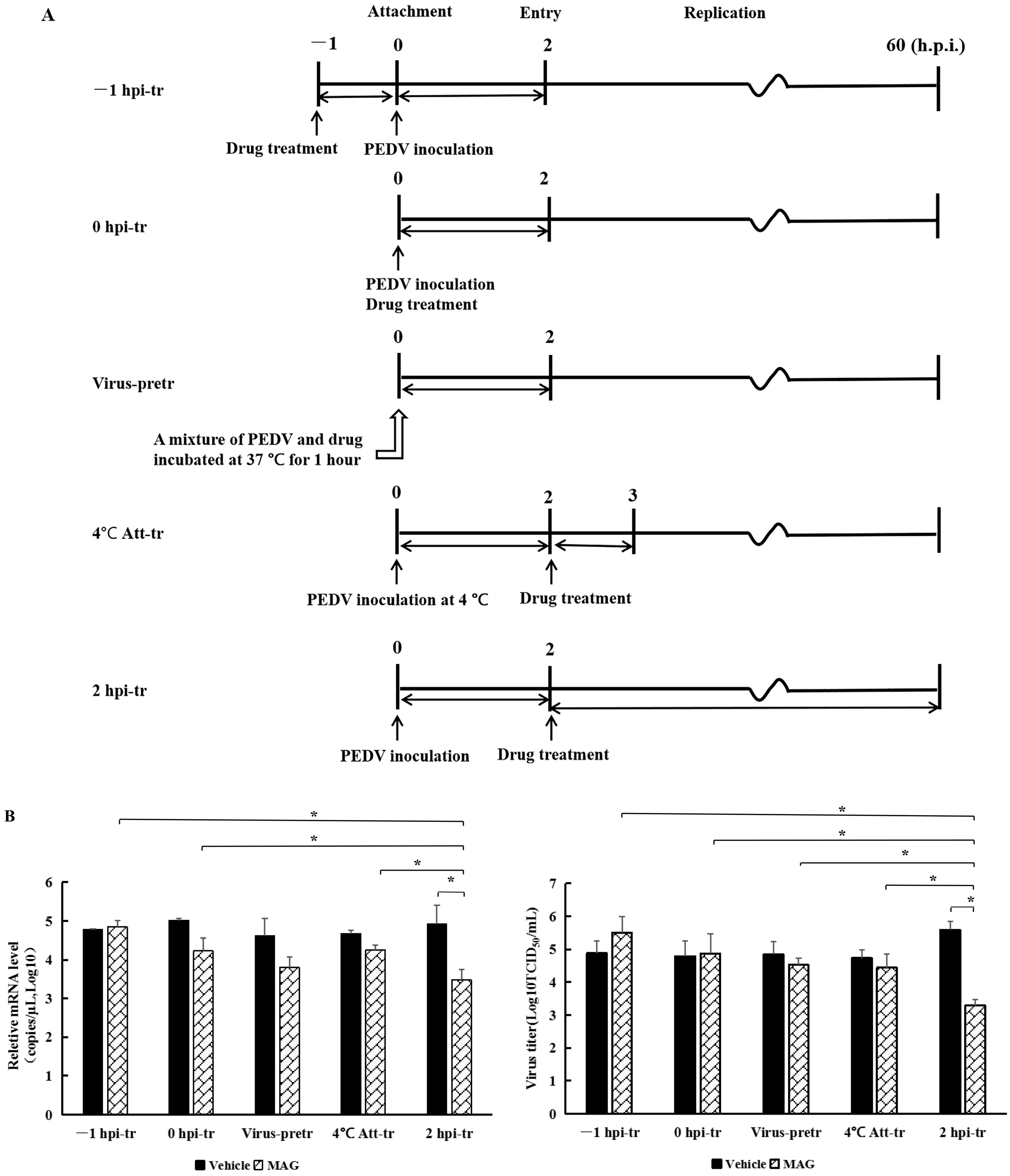 Pathogens 12 00263 g003a