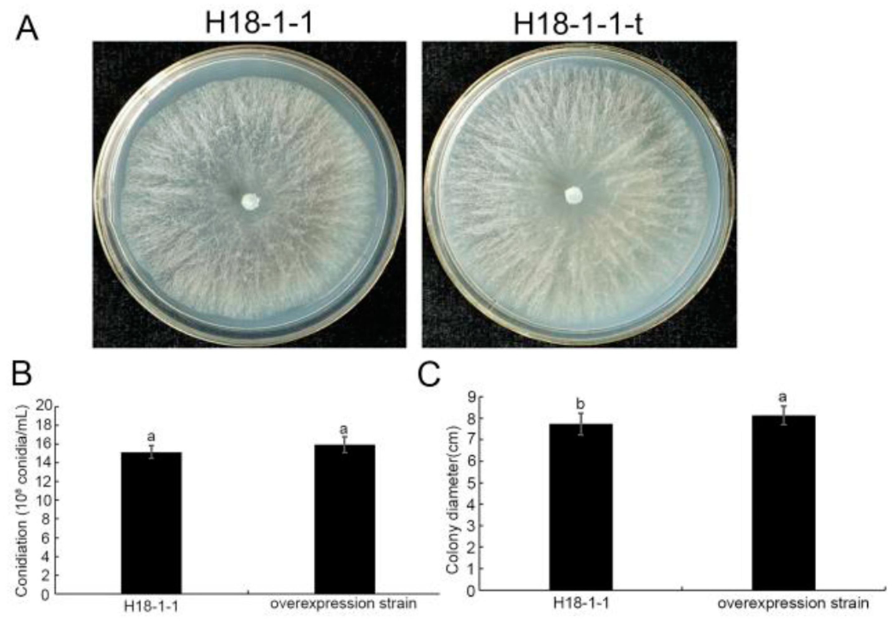 Pathogens 12 00264 g004
