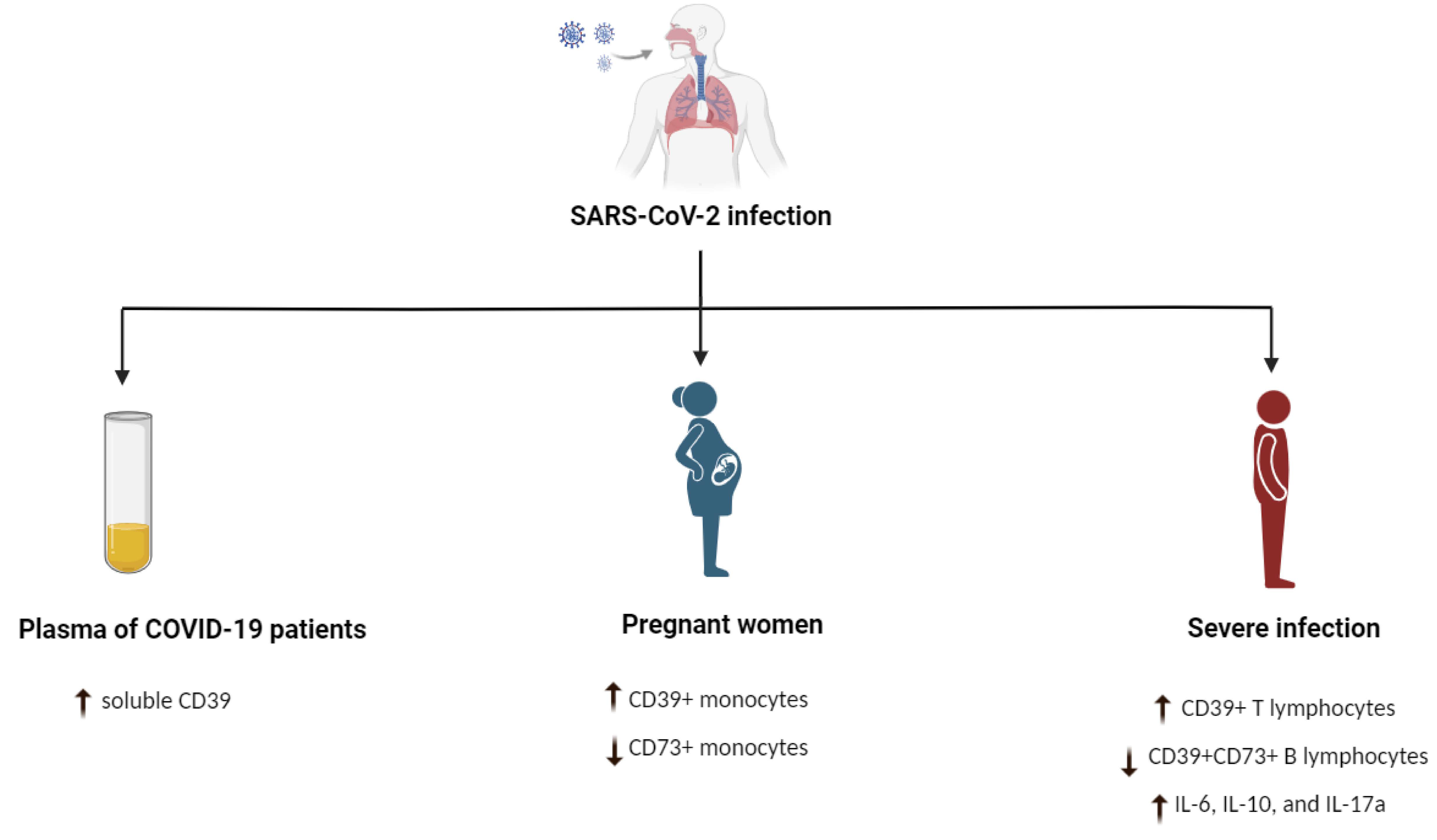 Pathogens 12 00279 g001 Pathogens 12 00279 g001