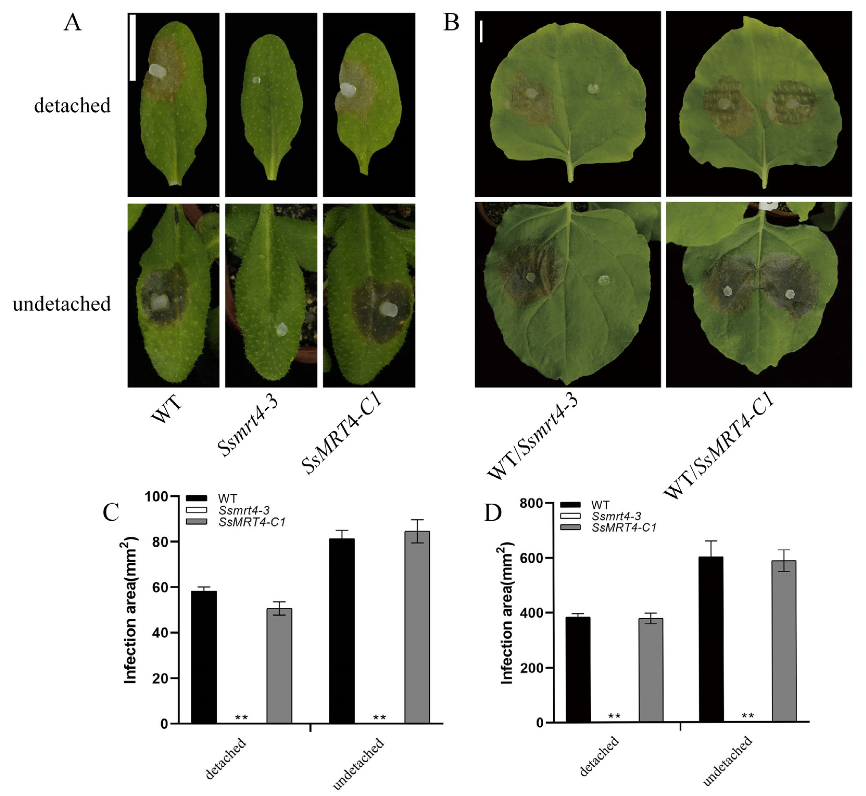 Pathogens 12 00281 g003