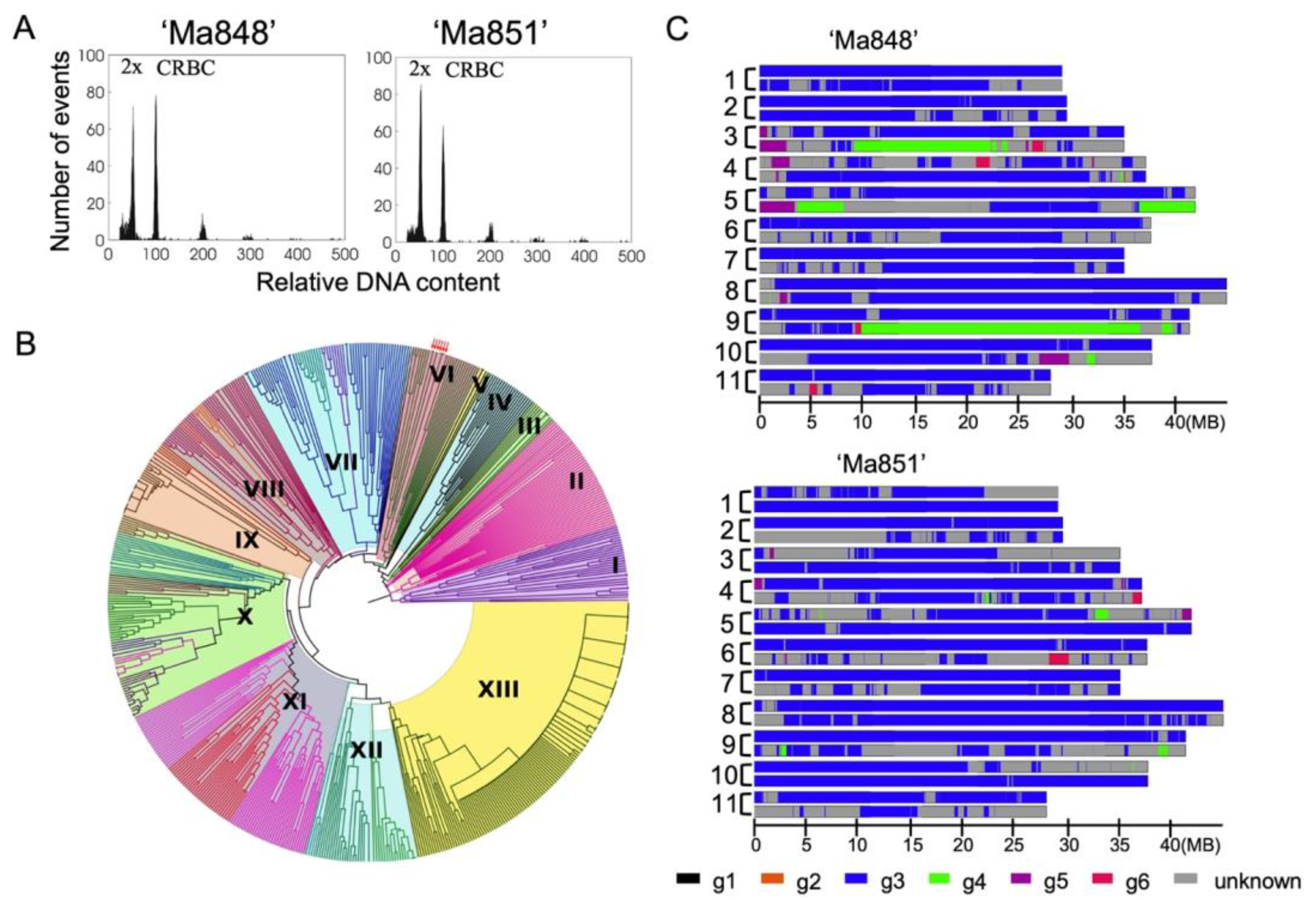 Pathogens 12 00289 g001 Pathogens 12 00289 g001