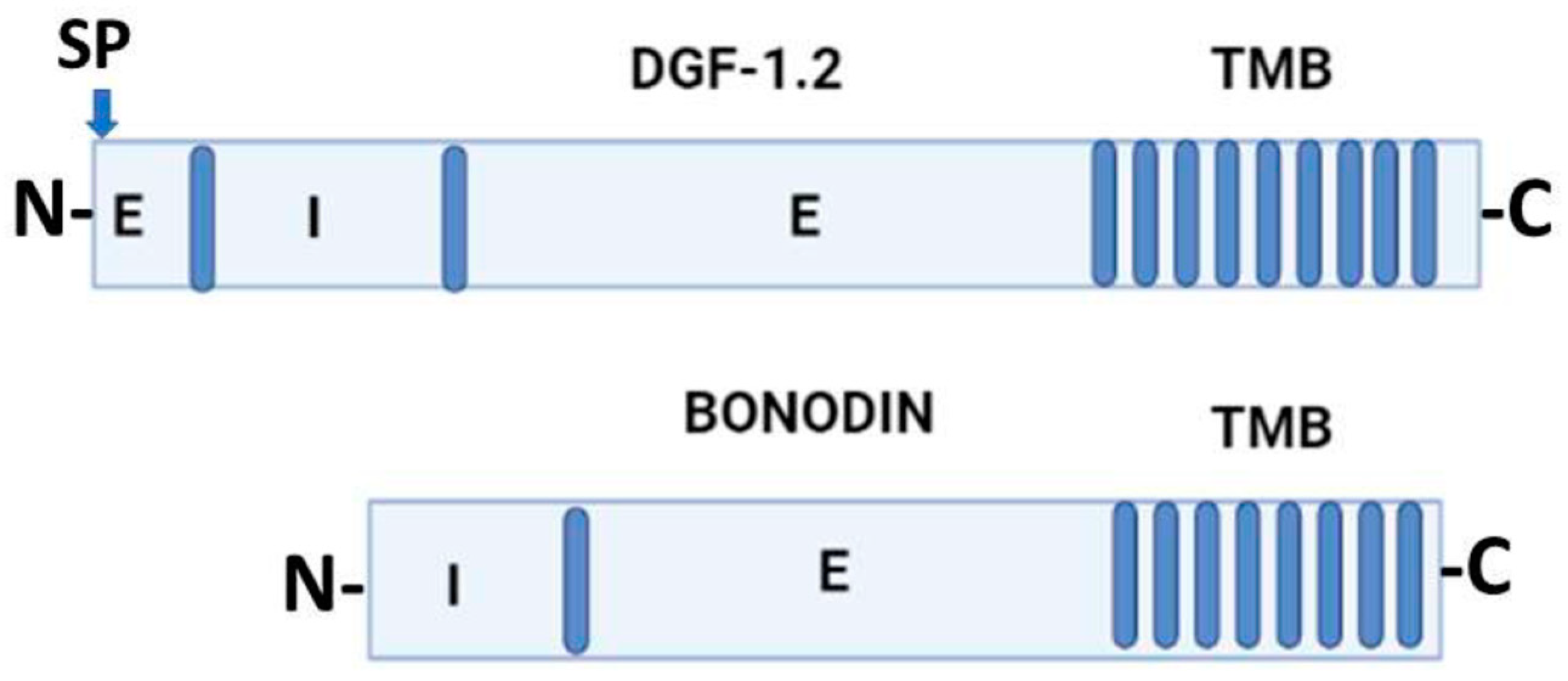 Pathogens 12 00292 g002