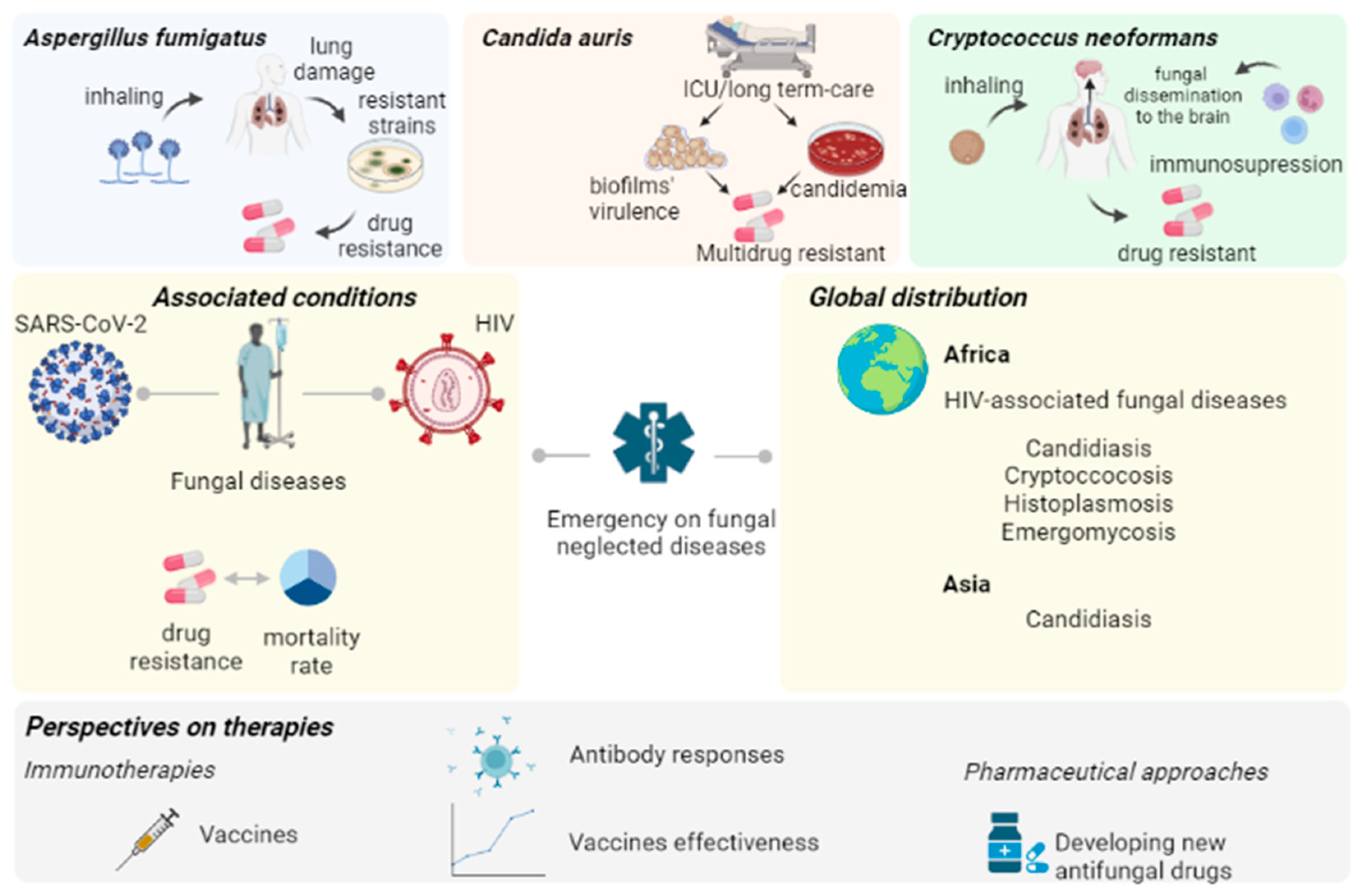 Pathogens 12 00293 g001