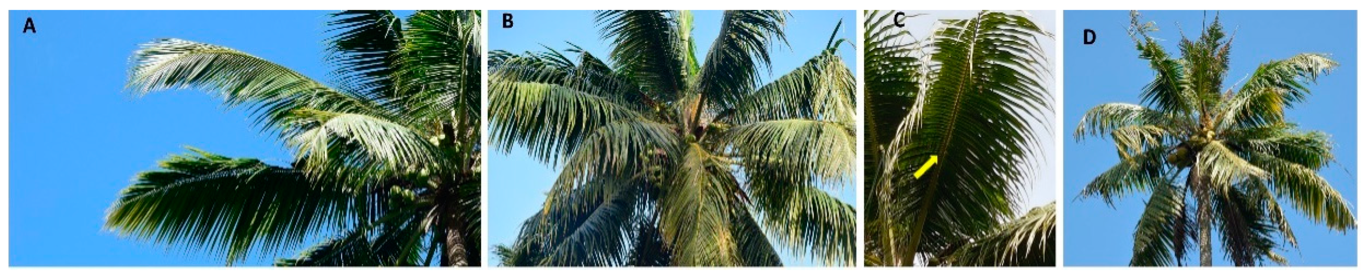 Pathogens 12 00294 g001 Pathogens 12 00294 g001