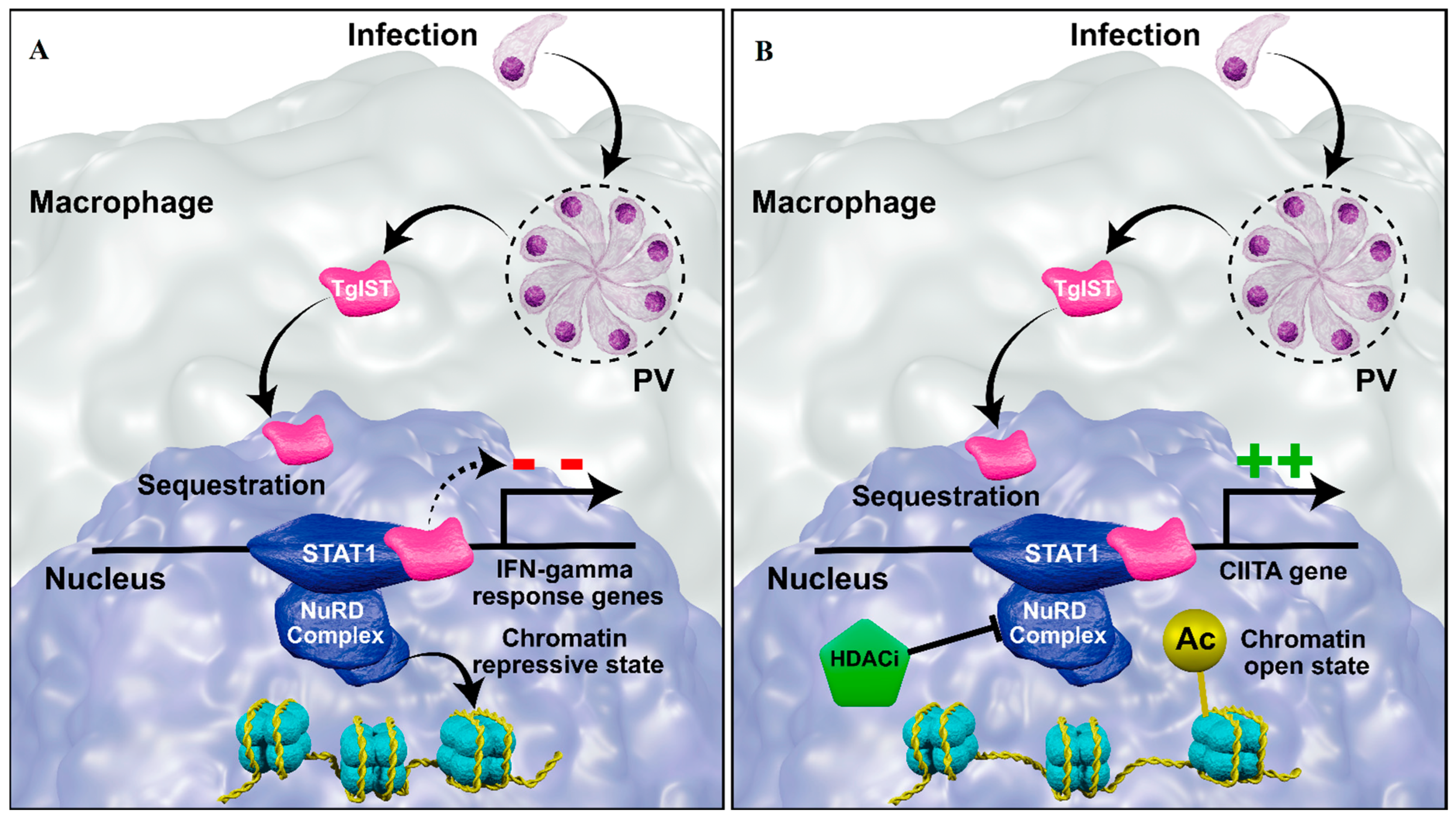 Pathogens 12 00299 g005
